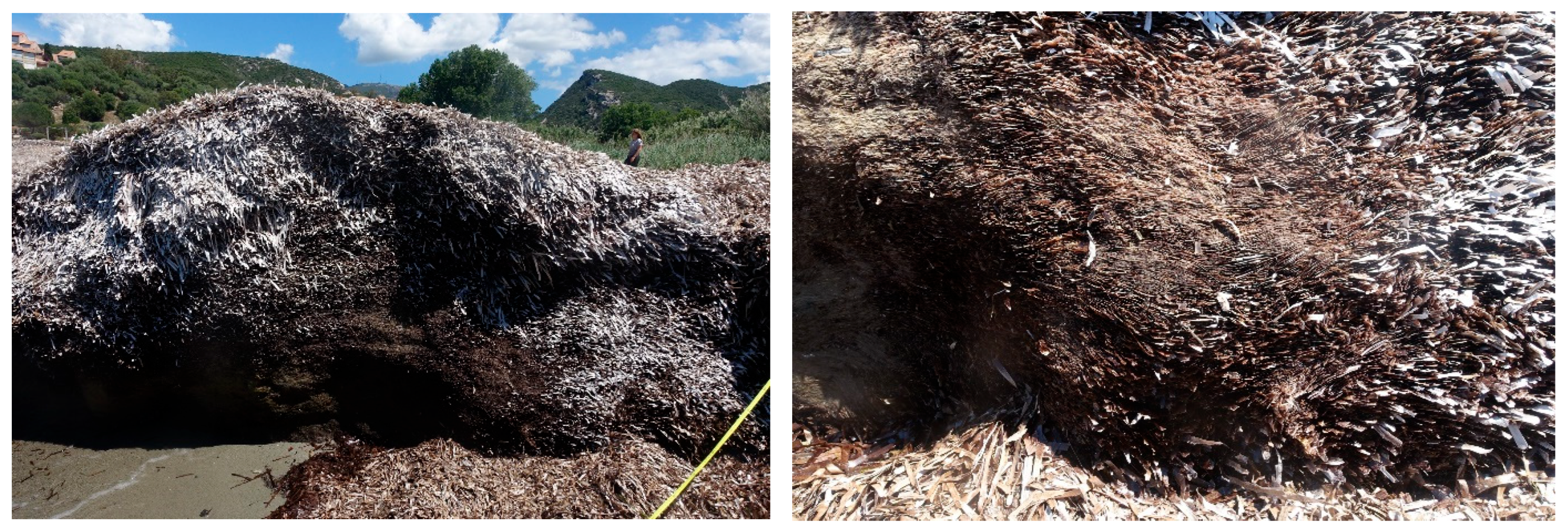 Sustainability 17 04556 g008b