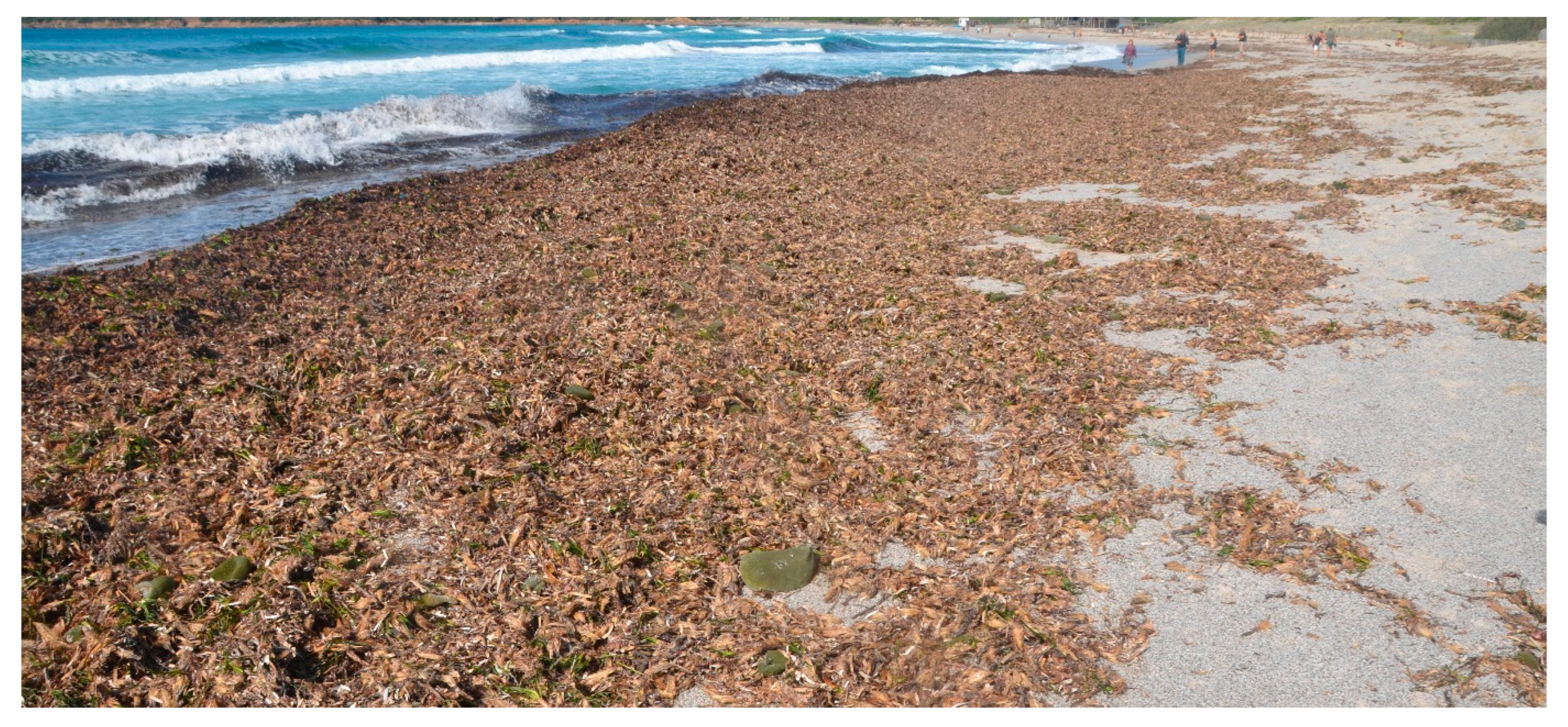 Sustainability 17 04556 g010