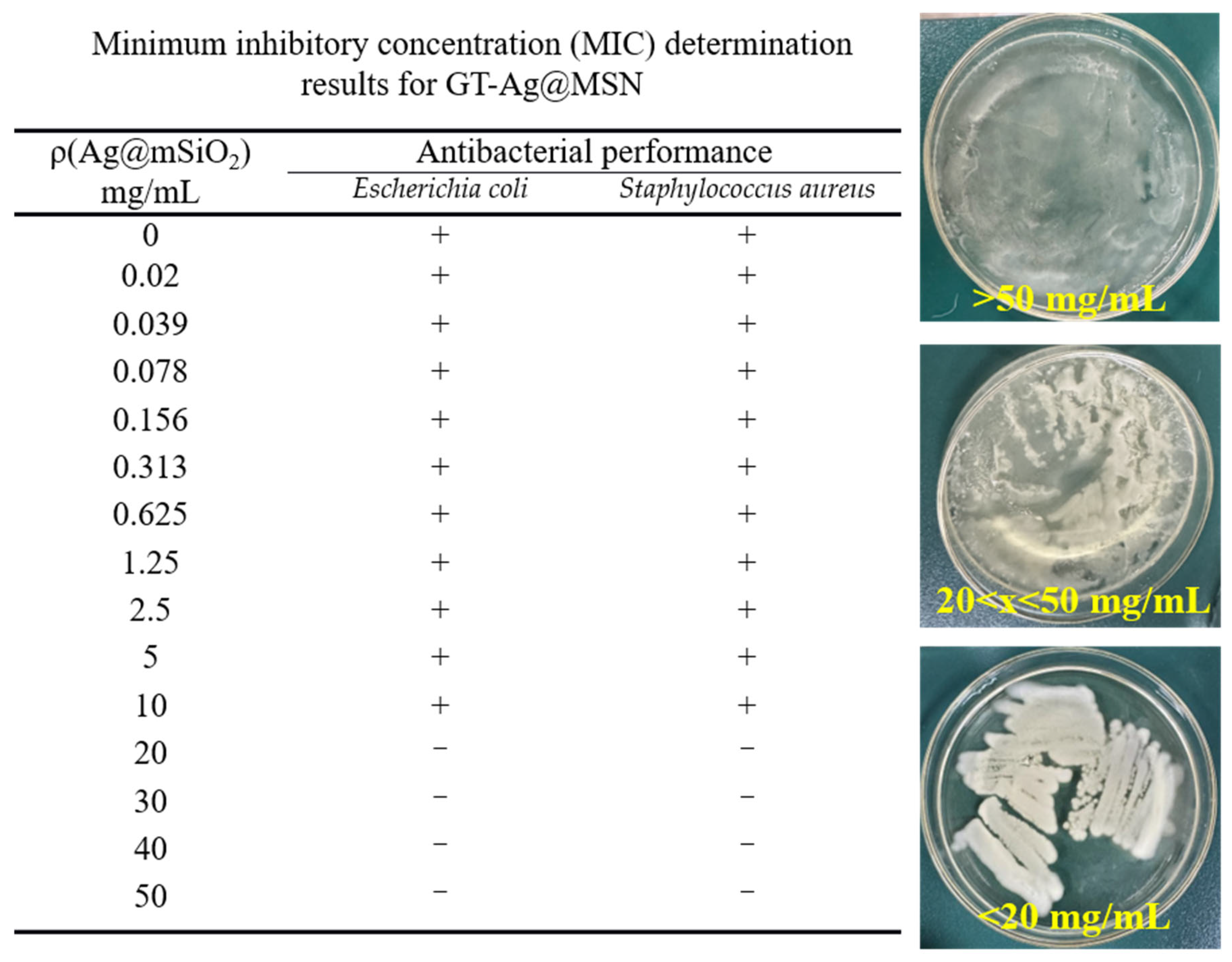 Sustainability 17 04557 g005