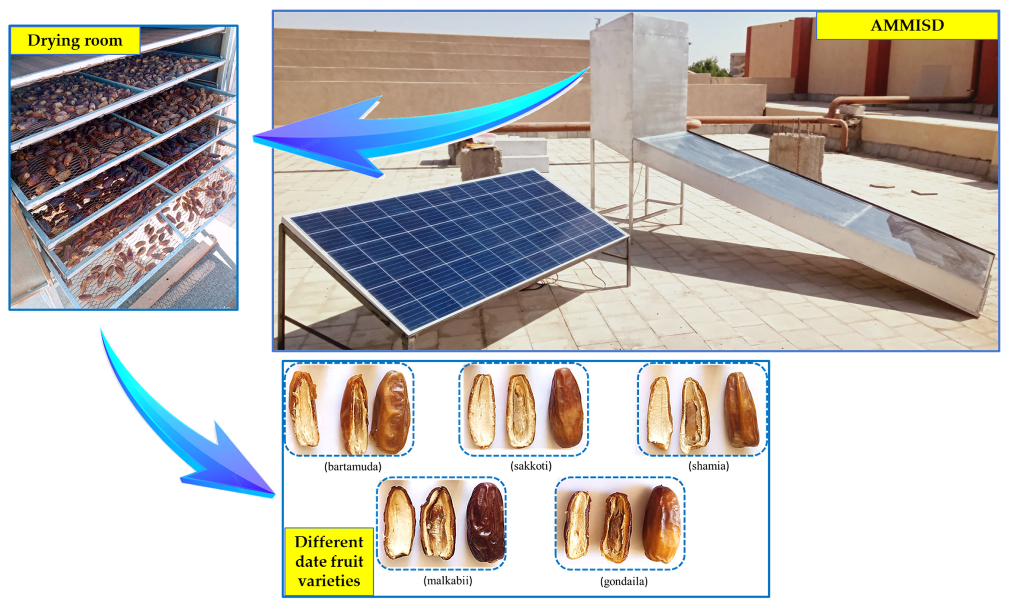 Sustainability 17 04571 g001