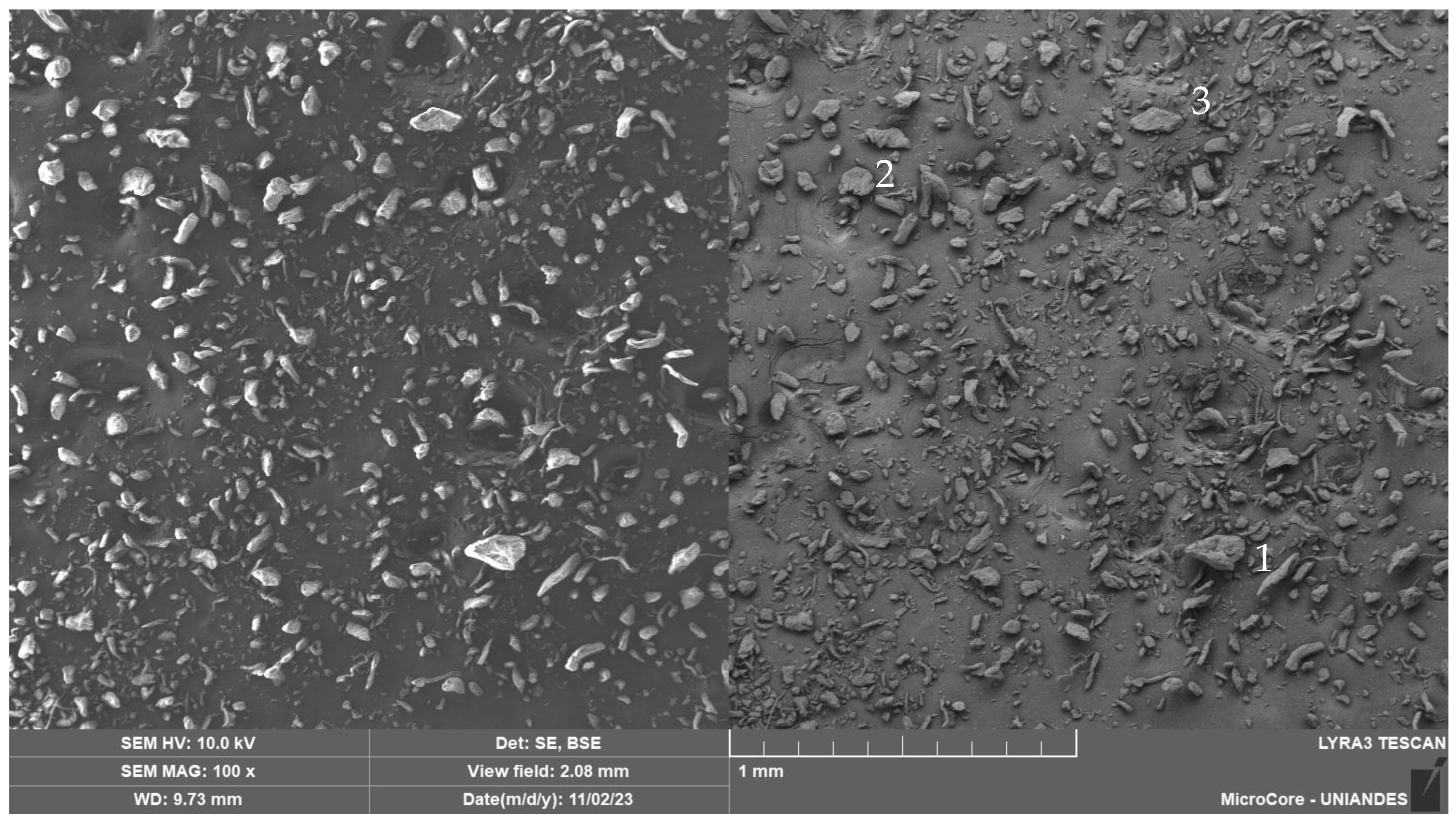 Sustainability 17 04601 g003