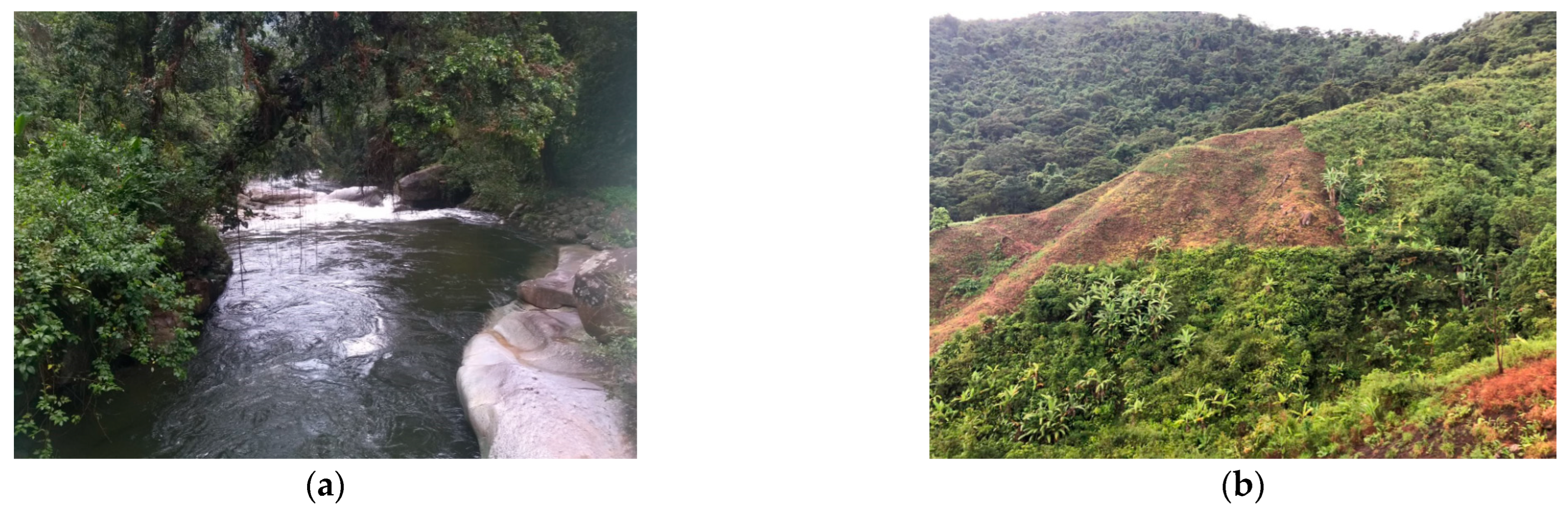 Sustainability 17 04650 g003a