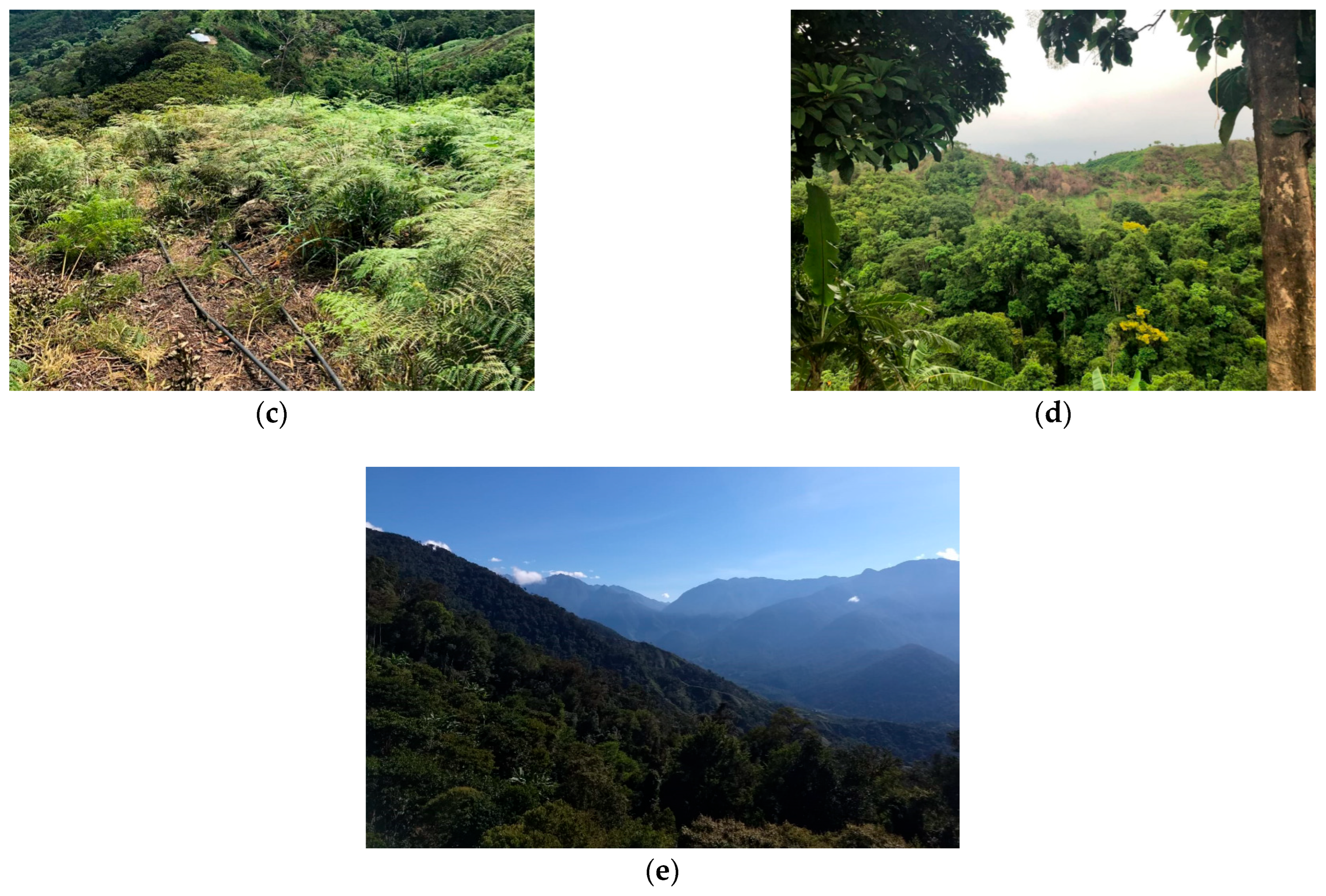 Sustainability 17 04650 g003b