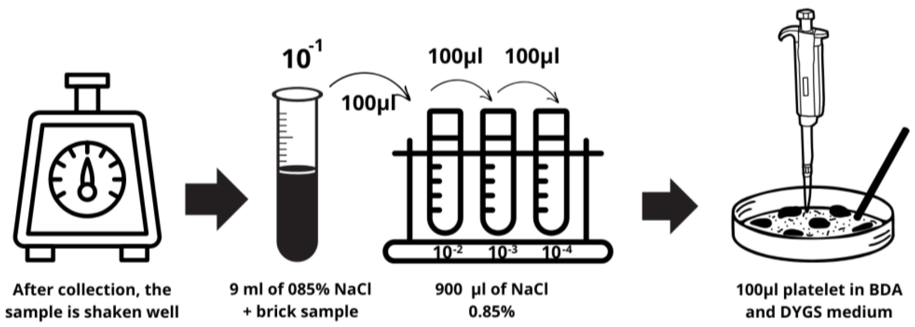 Sustainability 17 04698 g001