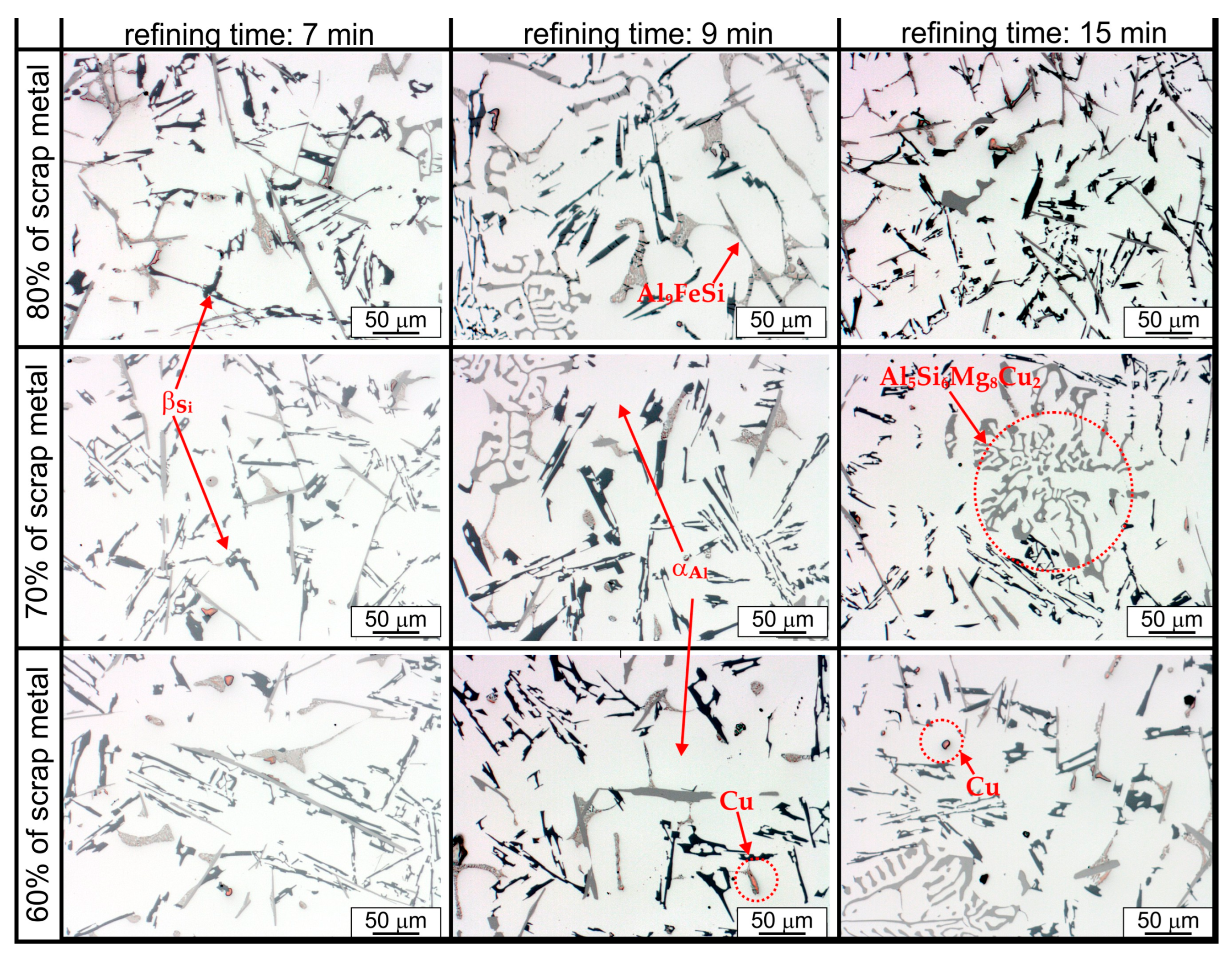 Sustainability 17 04755 g002