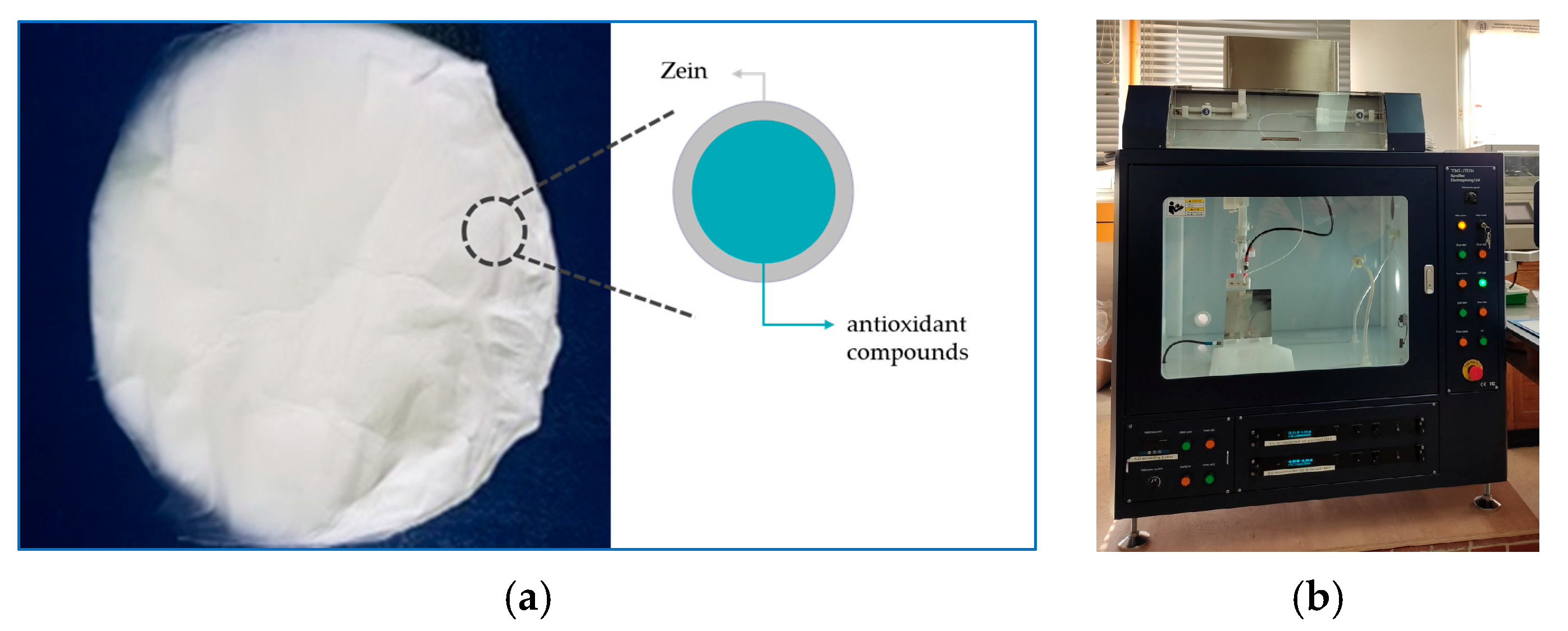 Sustainability 17 04810 g005