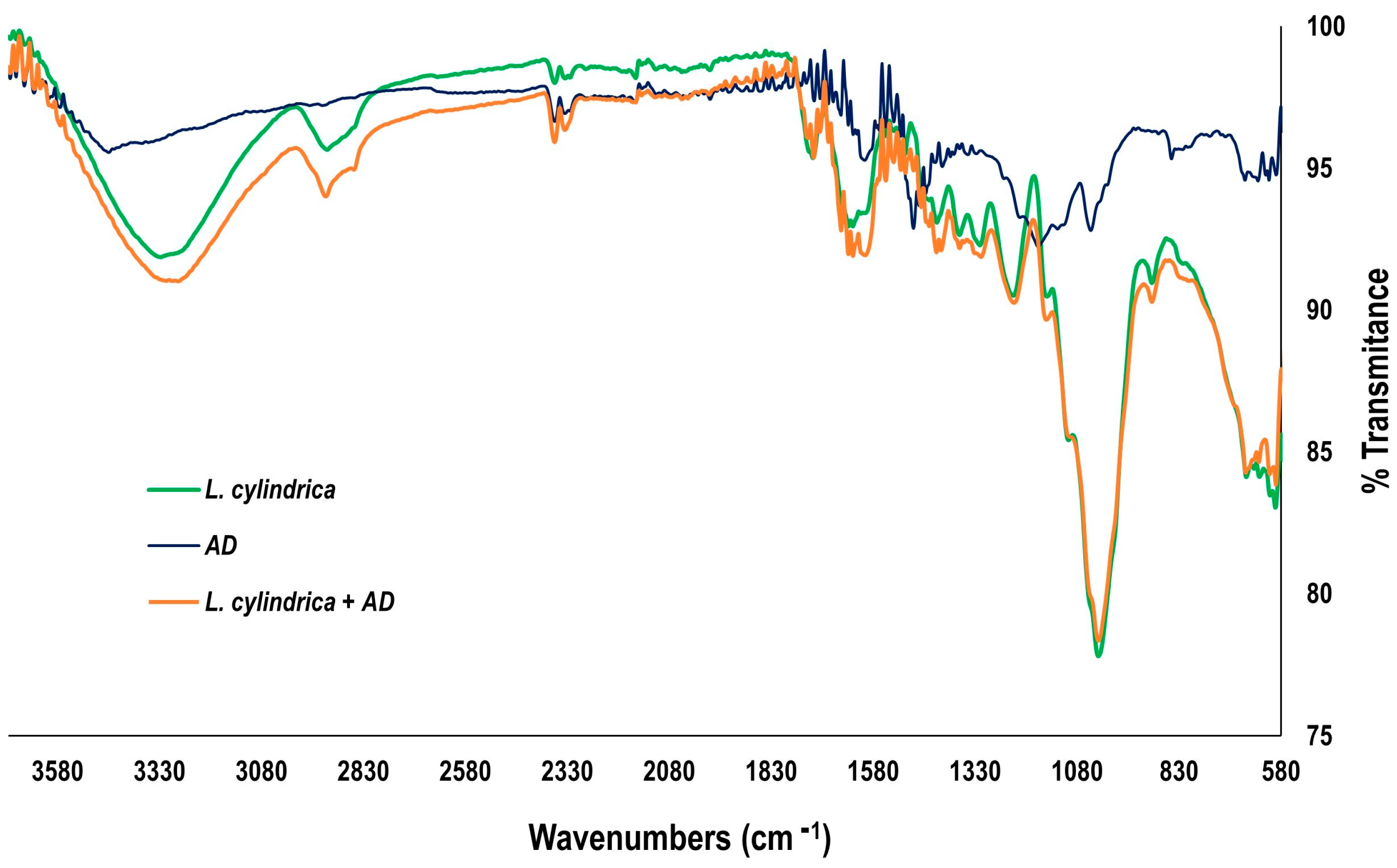 Sustainability 17 04816 g011 Sustainability 17 04816 g011