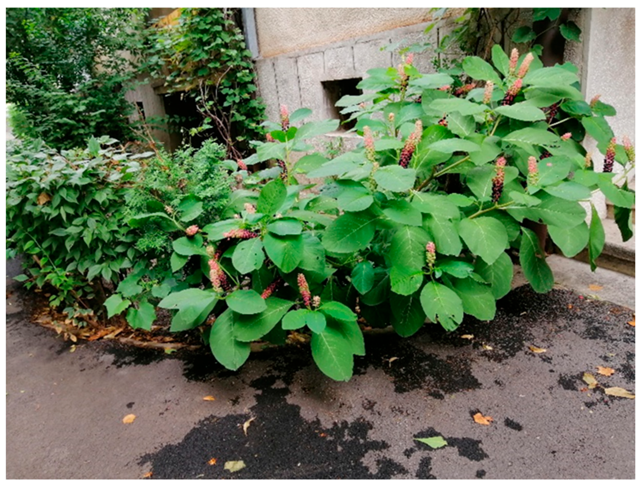 Sustainability 17 04826 g003 Sustainability 17 04826 g003