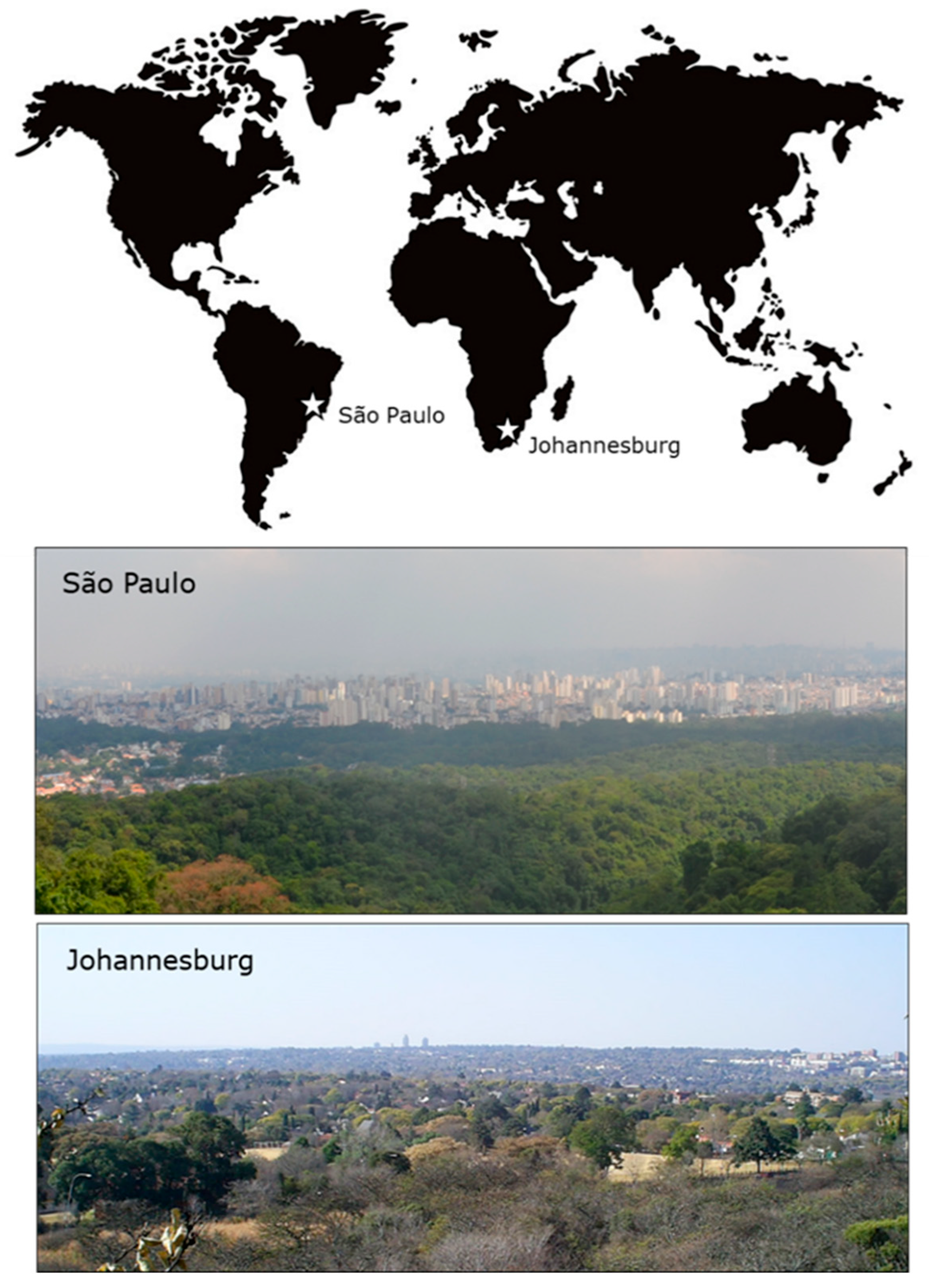 Sustainability 17 04918 g002