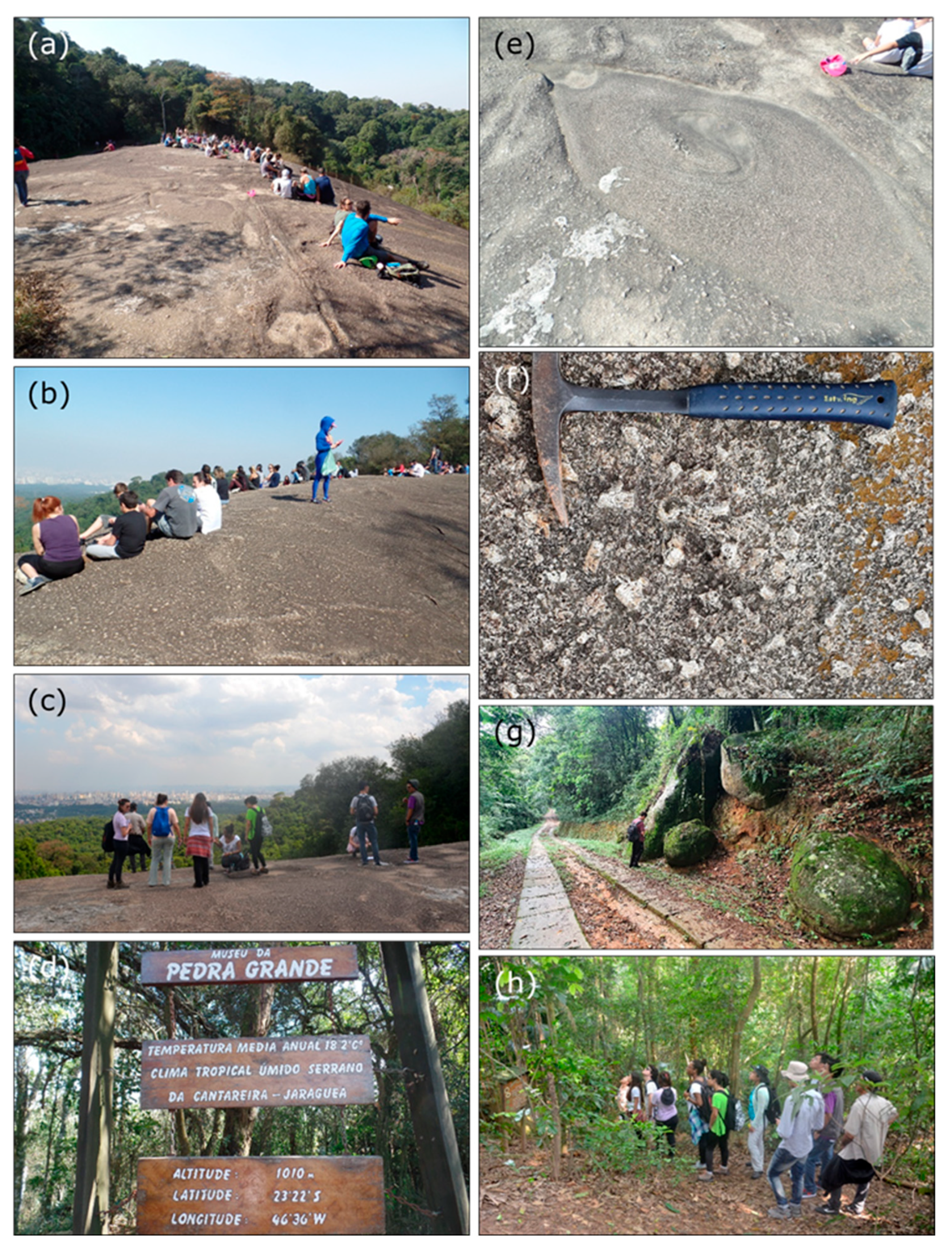 Sustainability 17 04918 g003