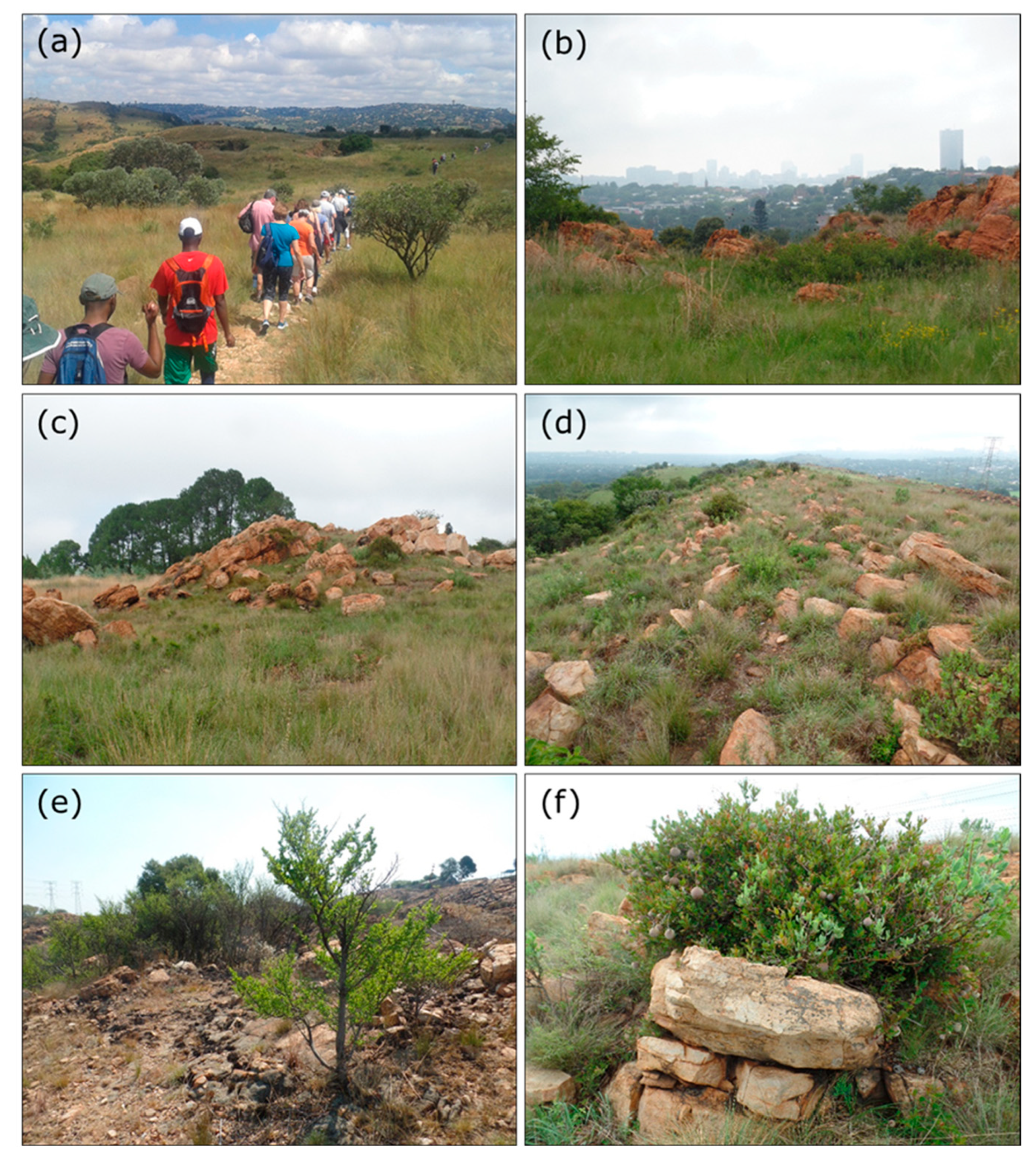 Sustainability 17 04918 g004