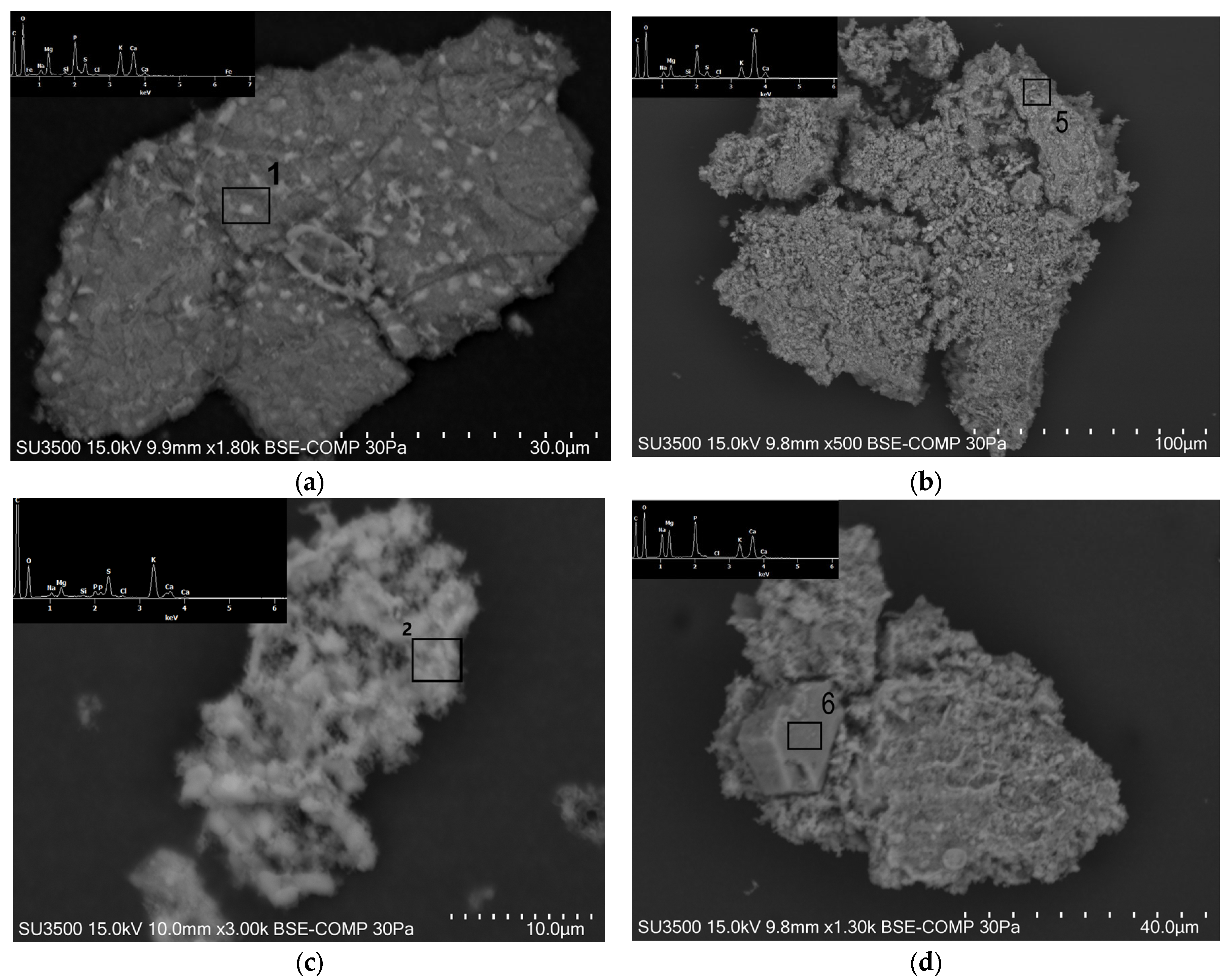 Sustainability 17 04976 g005