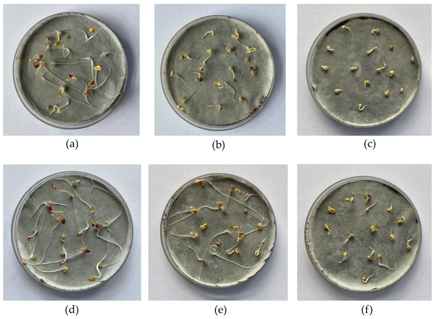 Sustainability 17 04976 g008