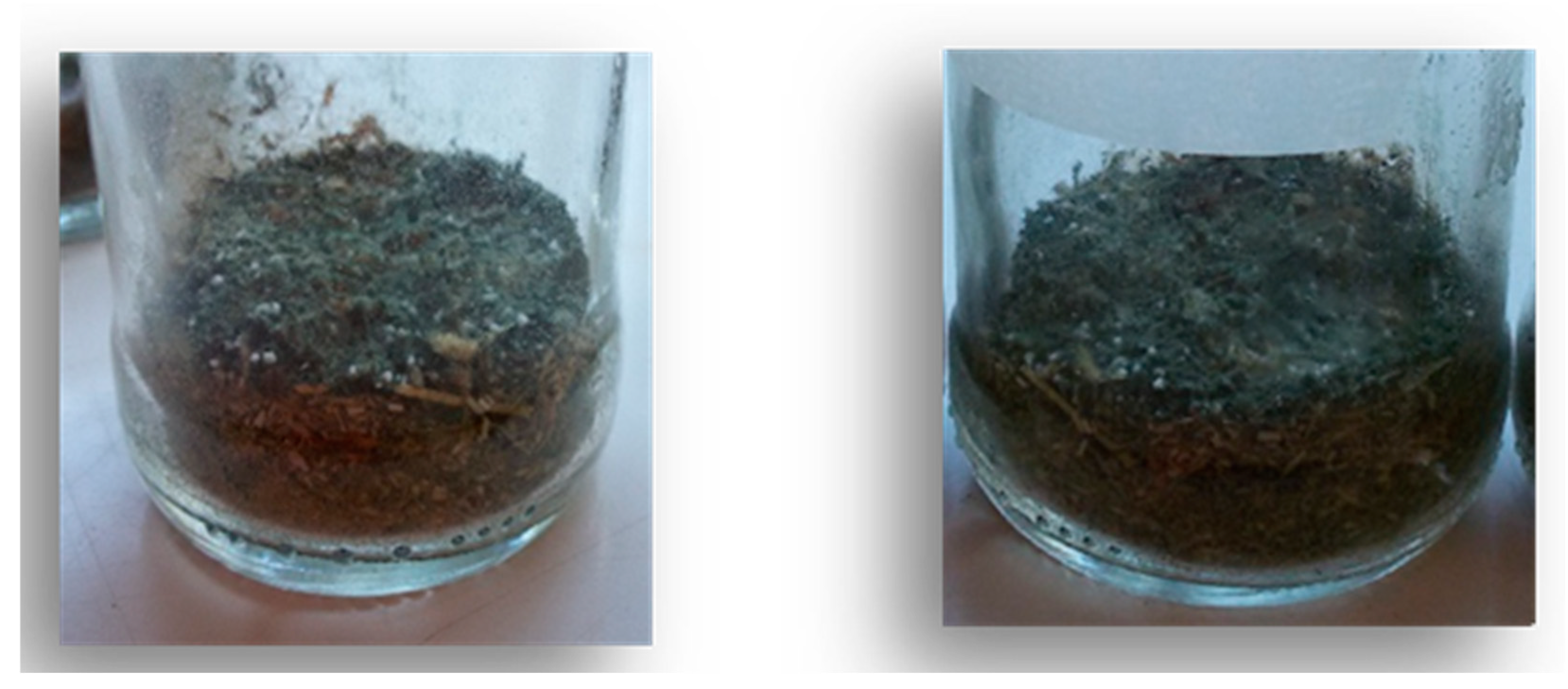 Sustainability 17 04990 g001