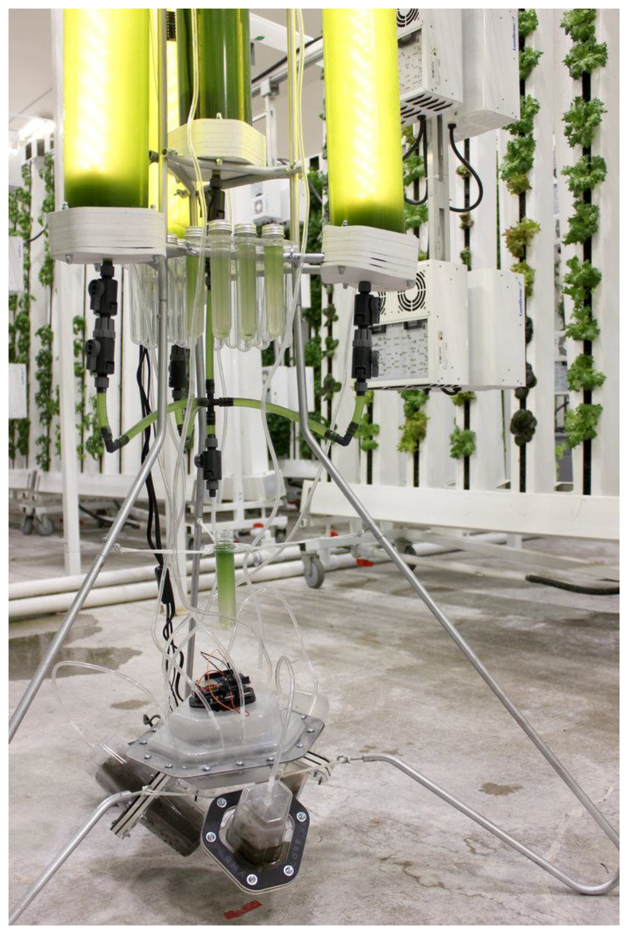 Sustainability 17 05004 g001