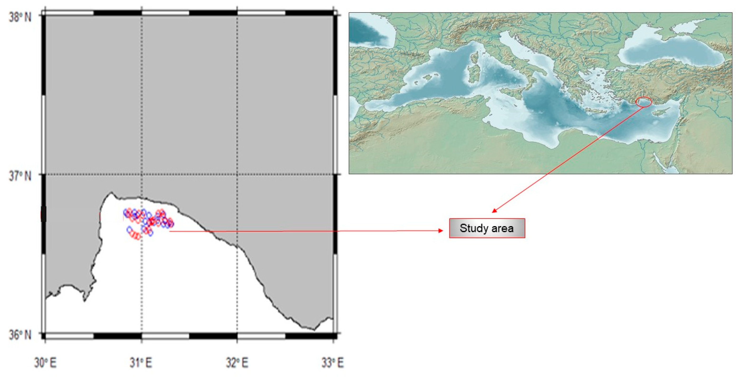 Sustainability 17 05040 g001