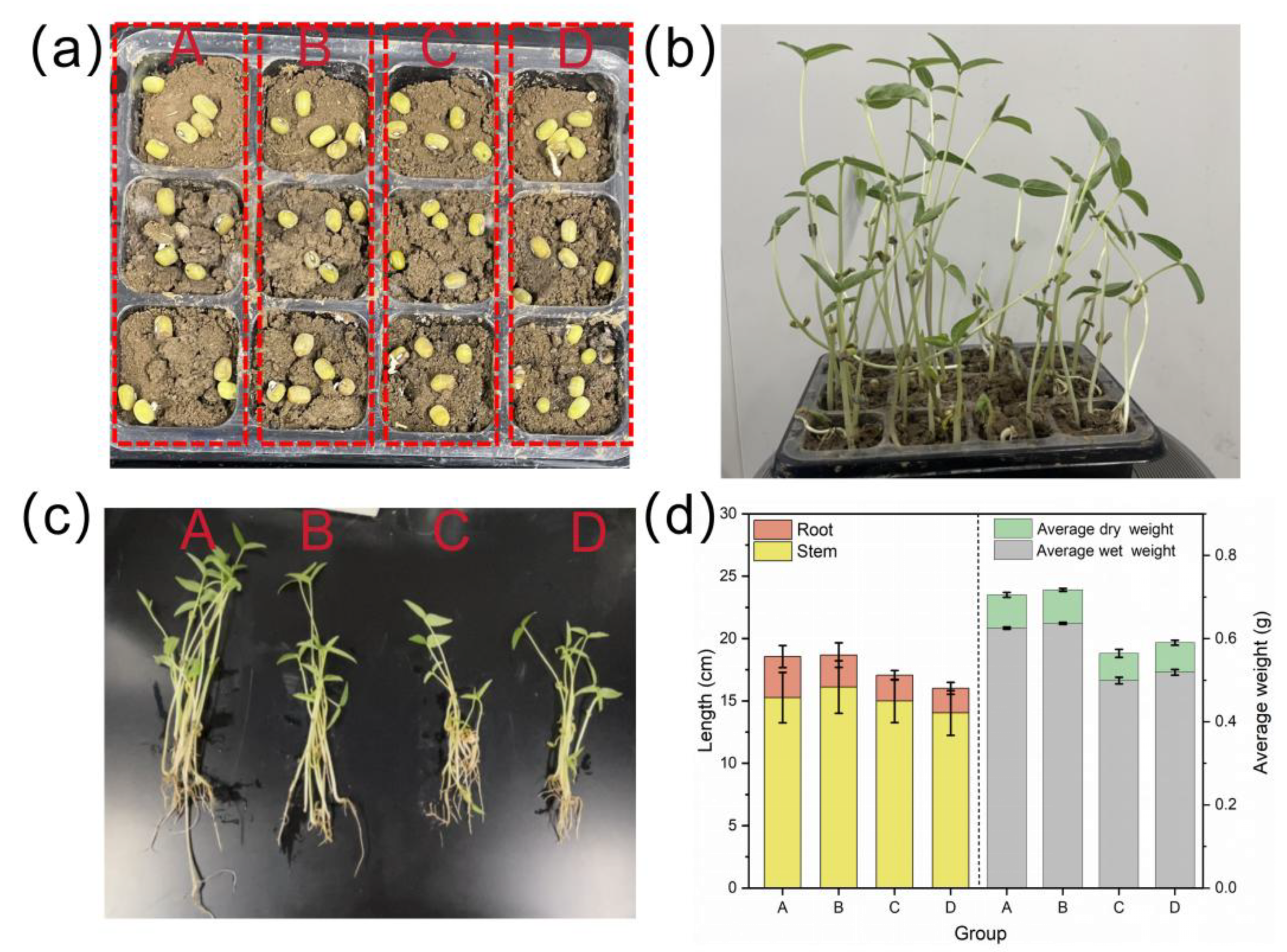 Sustainability 17 05049 g010