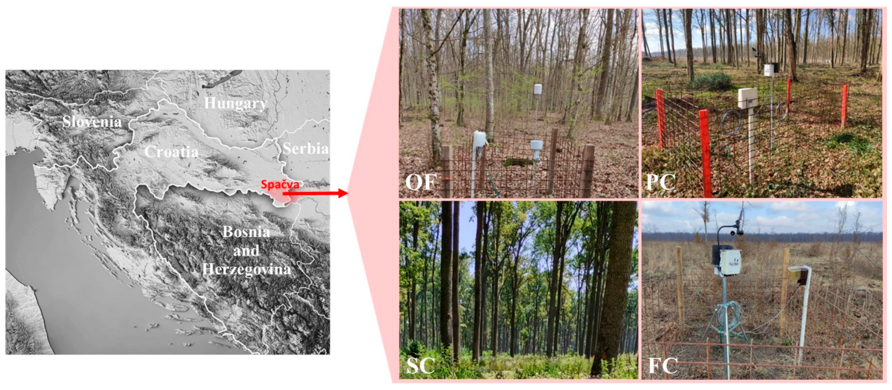 Sustainability 17 05106 g001