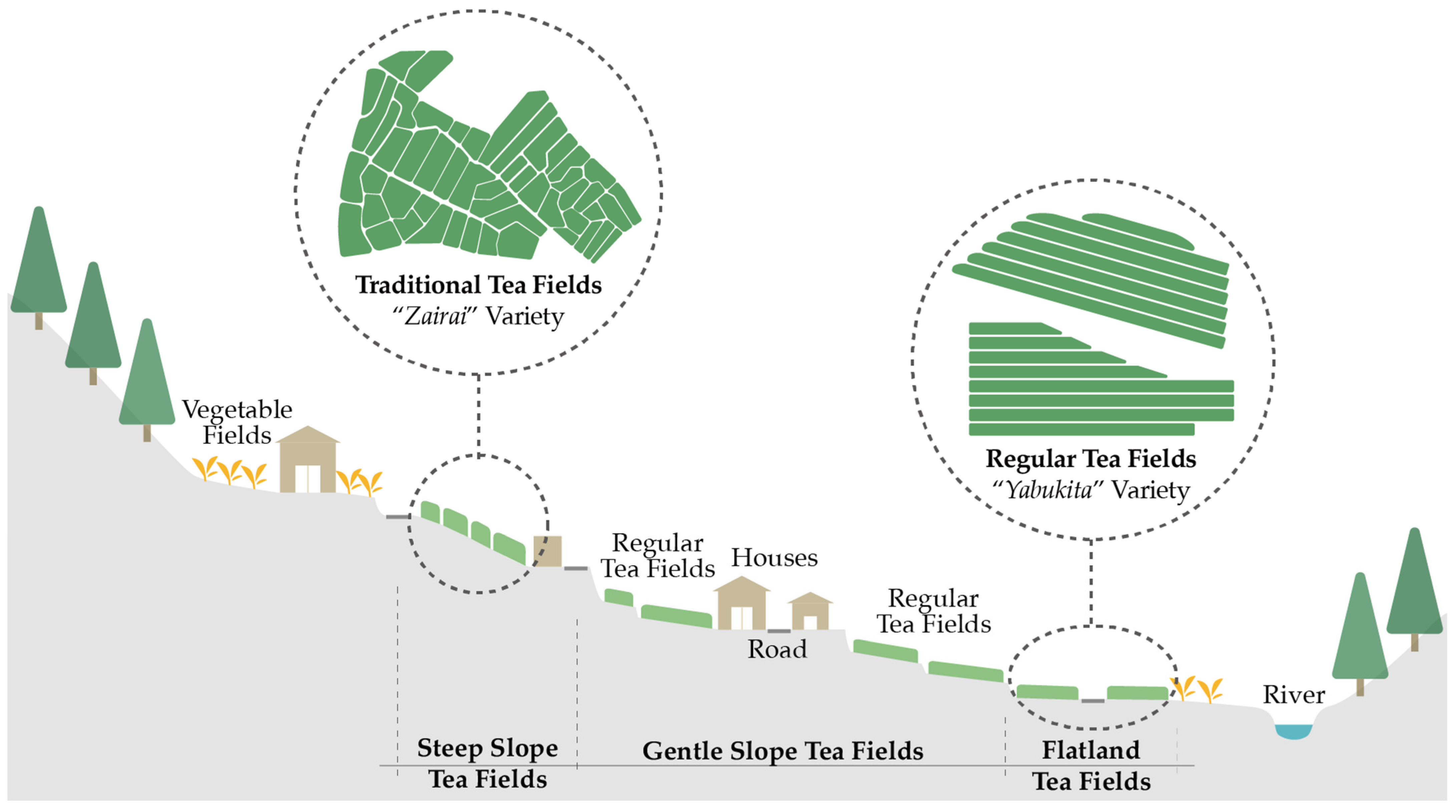 Sustainability 17 05174 g010