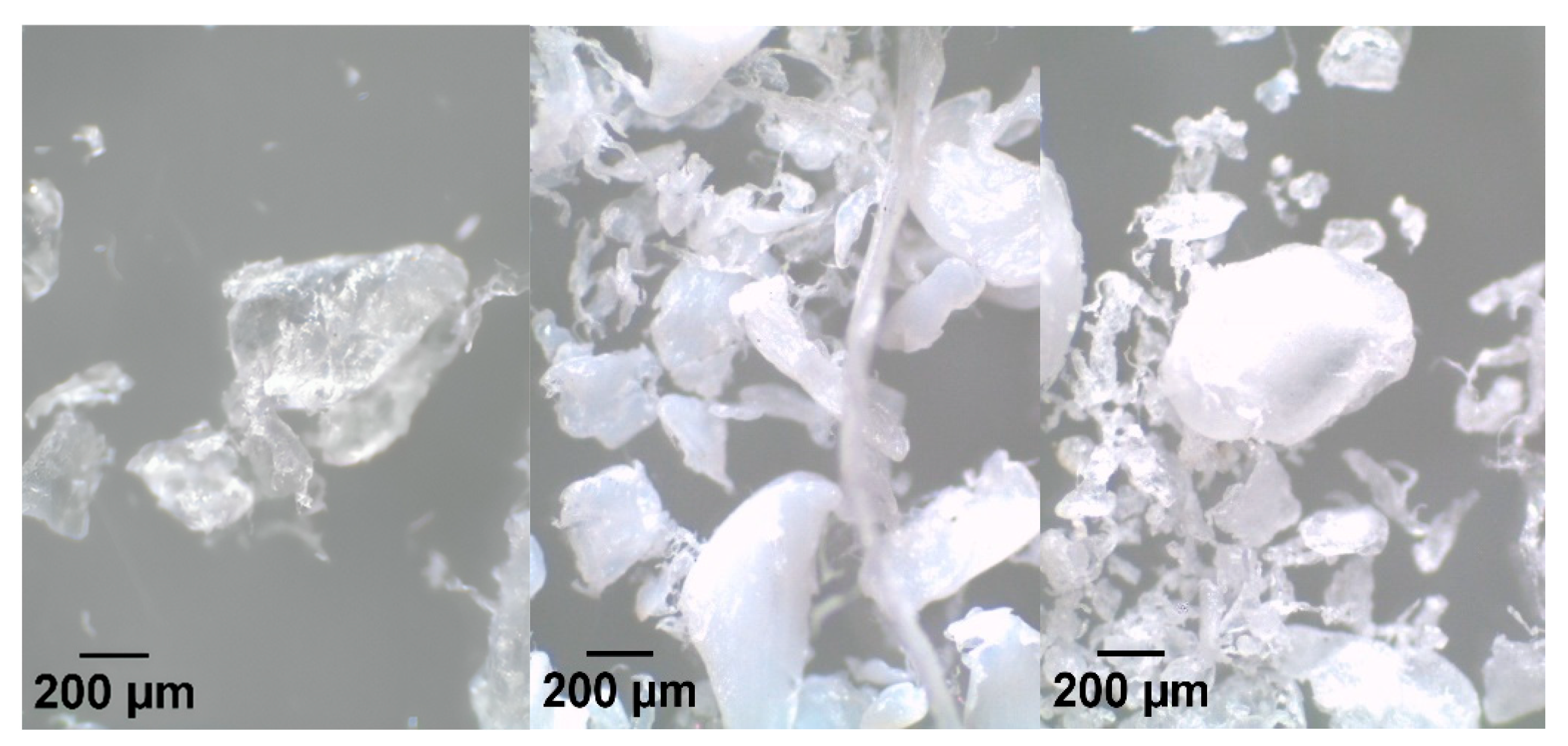 Sustainability 17 05203 g002