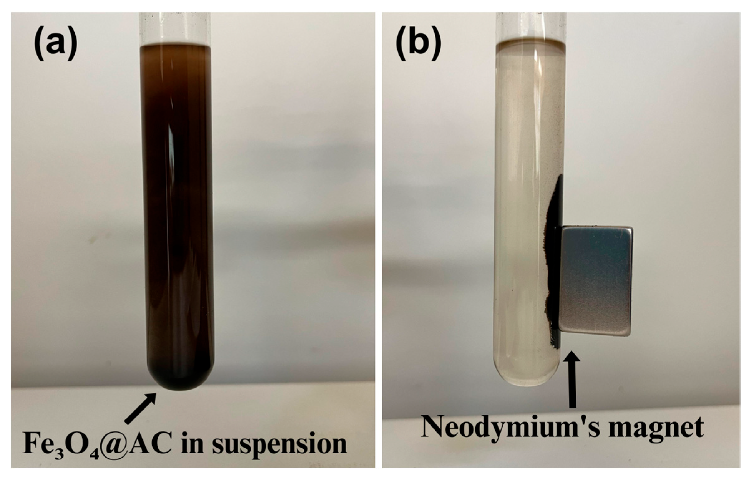 Sustainability 17 05203 g005