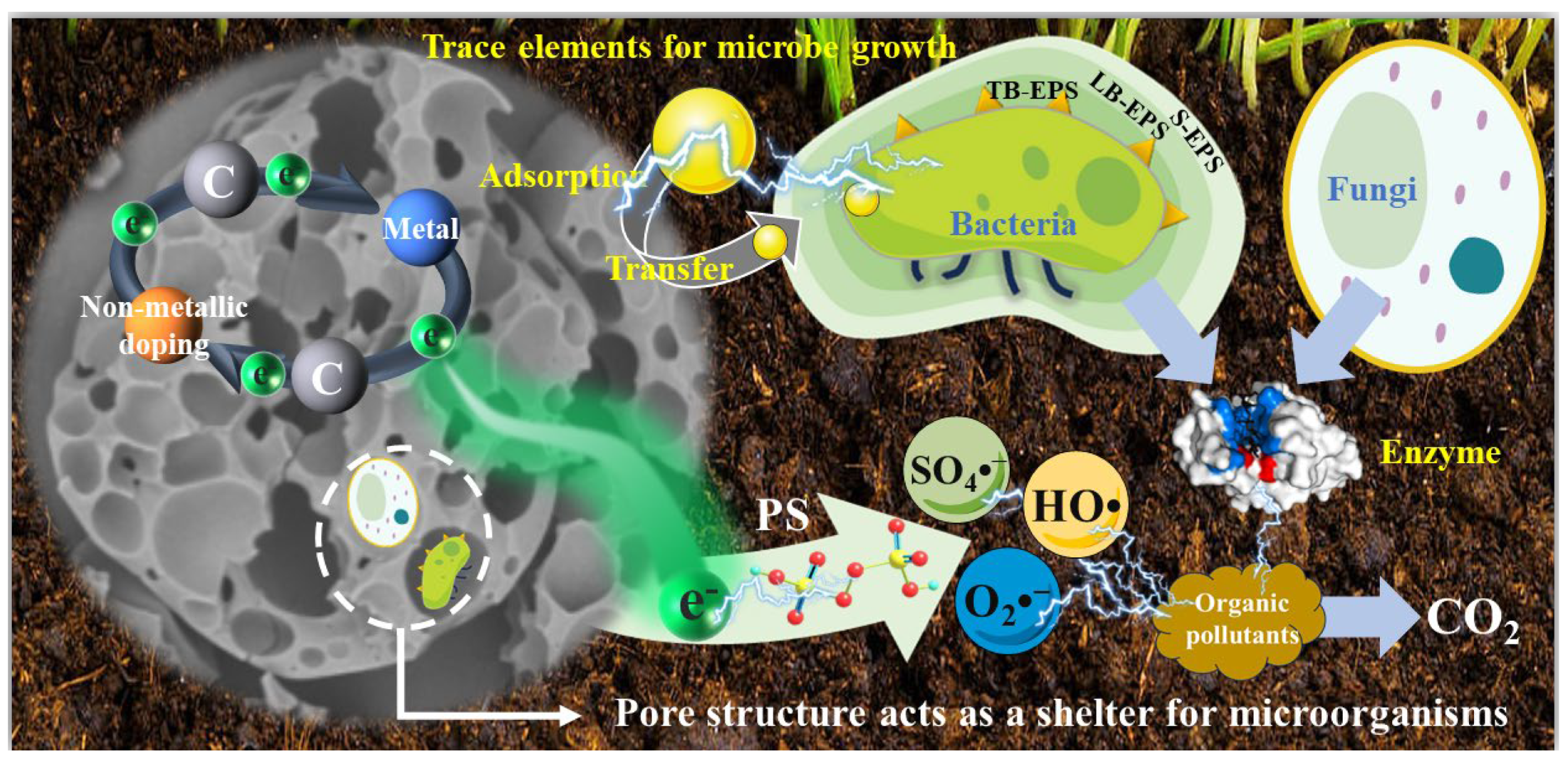 Sustainability 17 05253 g003