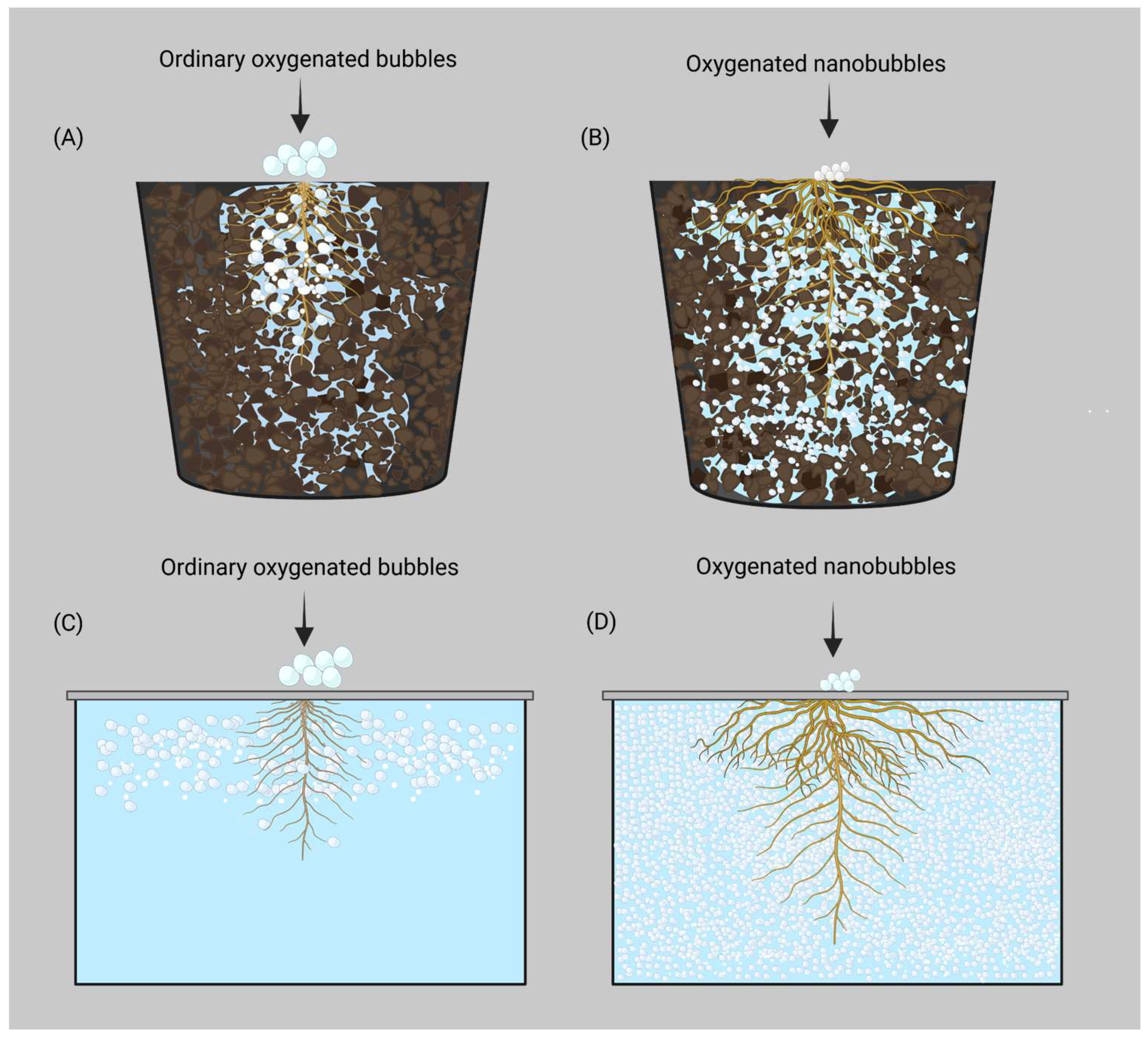 Sustainability 17 05275 g001