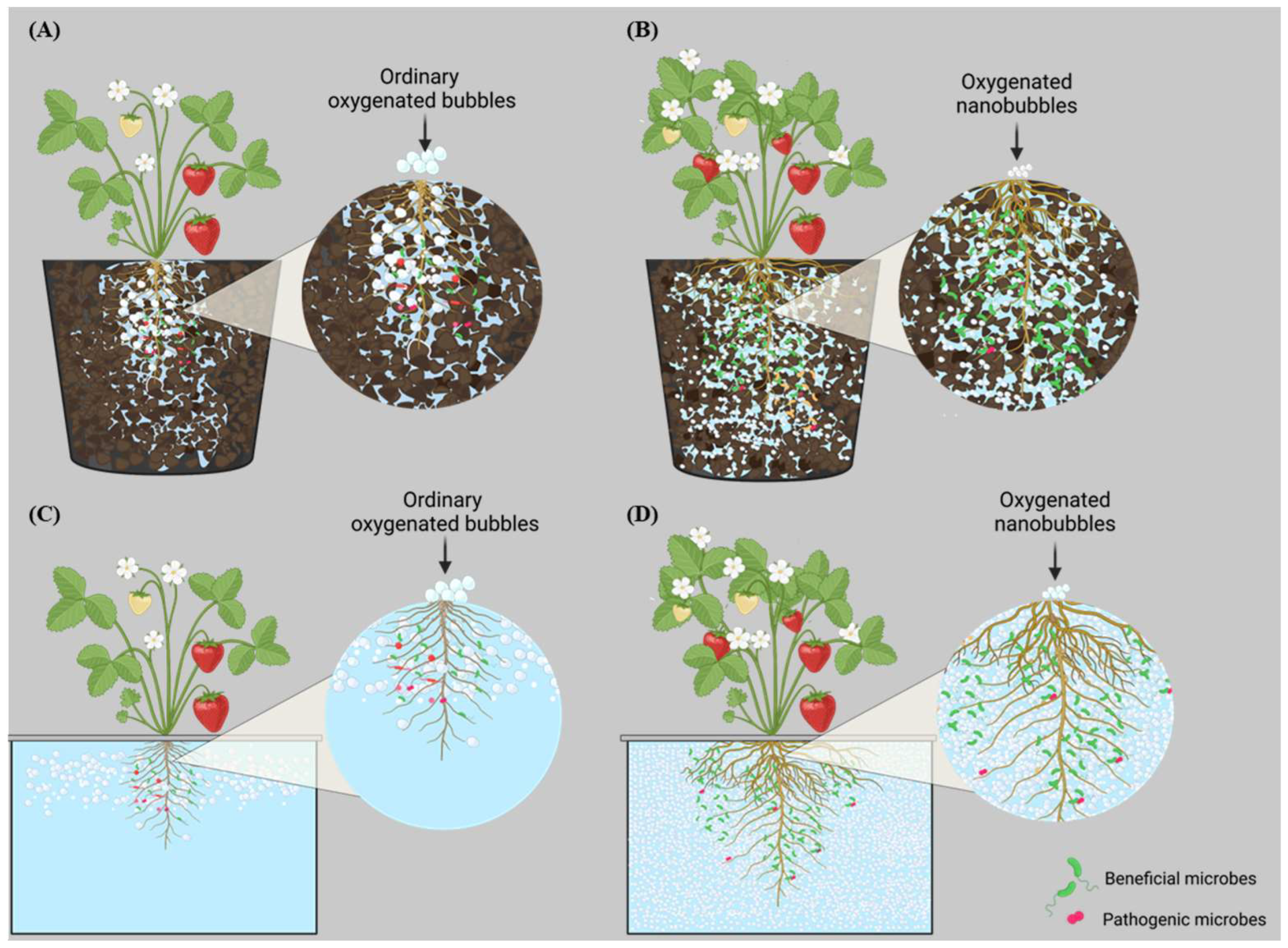 Sustainability 17 05275 g002