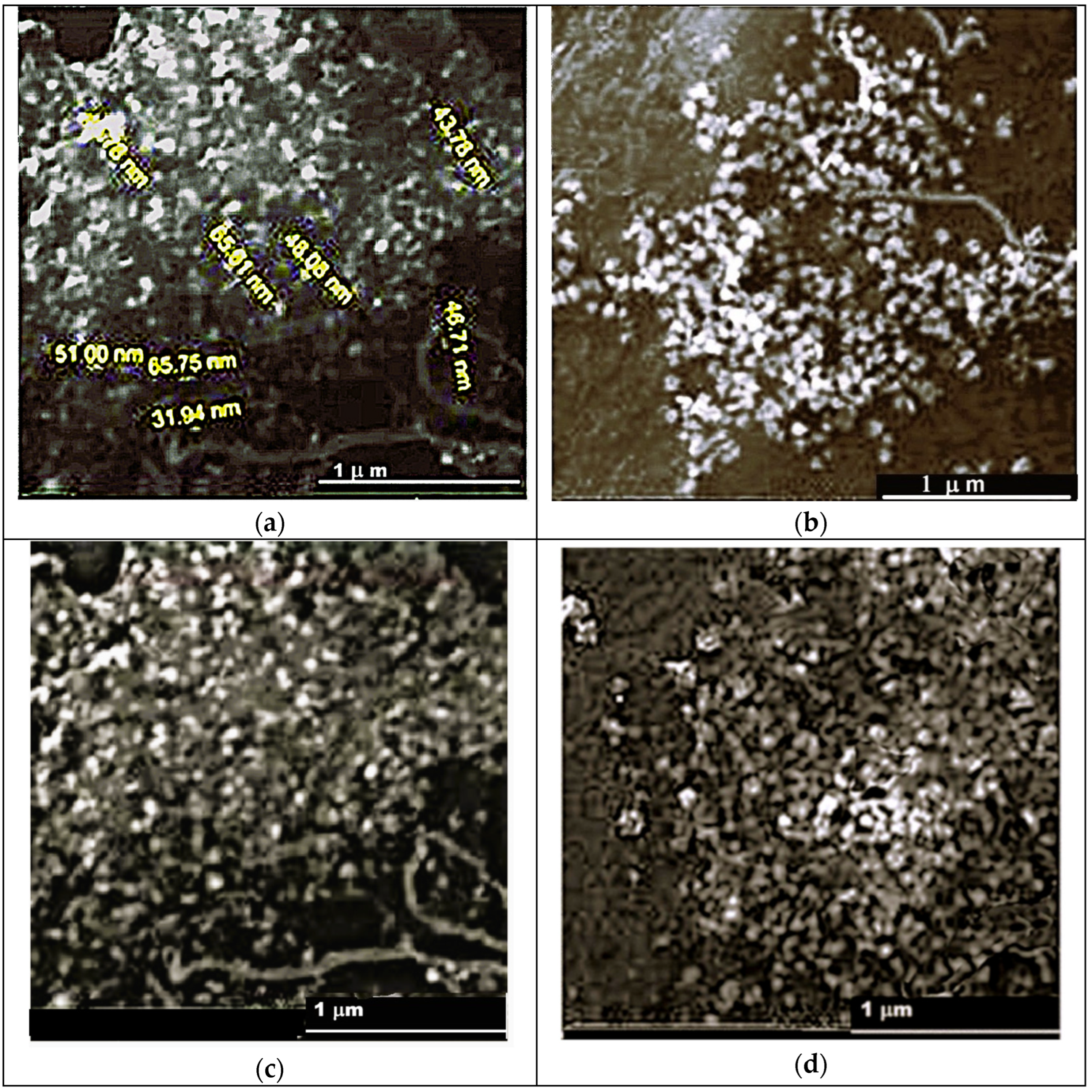 Sustainability 17 05321 g006 Sustainability 17 05321 g006
