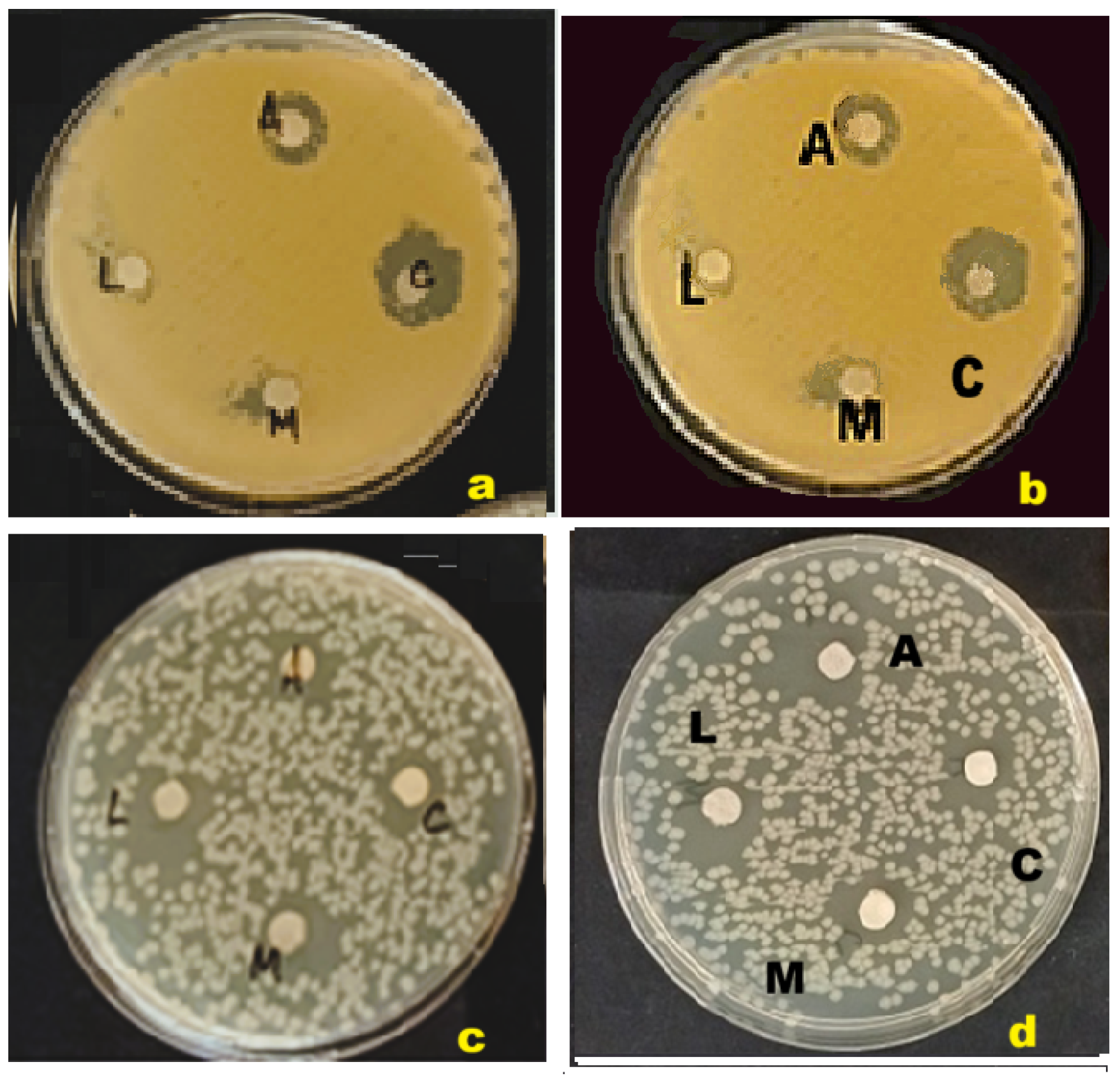 Sustainability 17 05321 g014 Sustainability 17 05321 g014