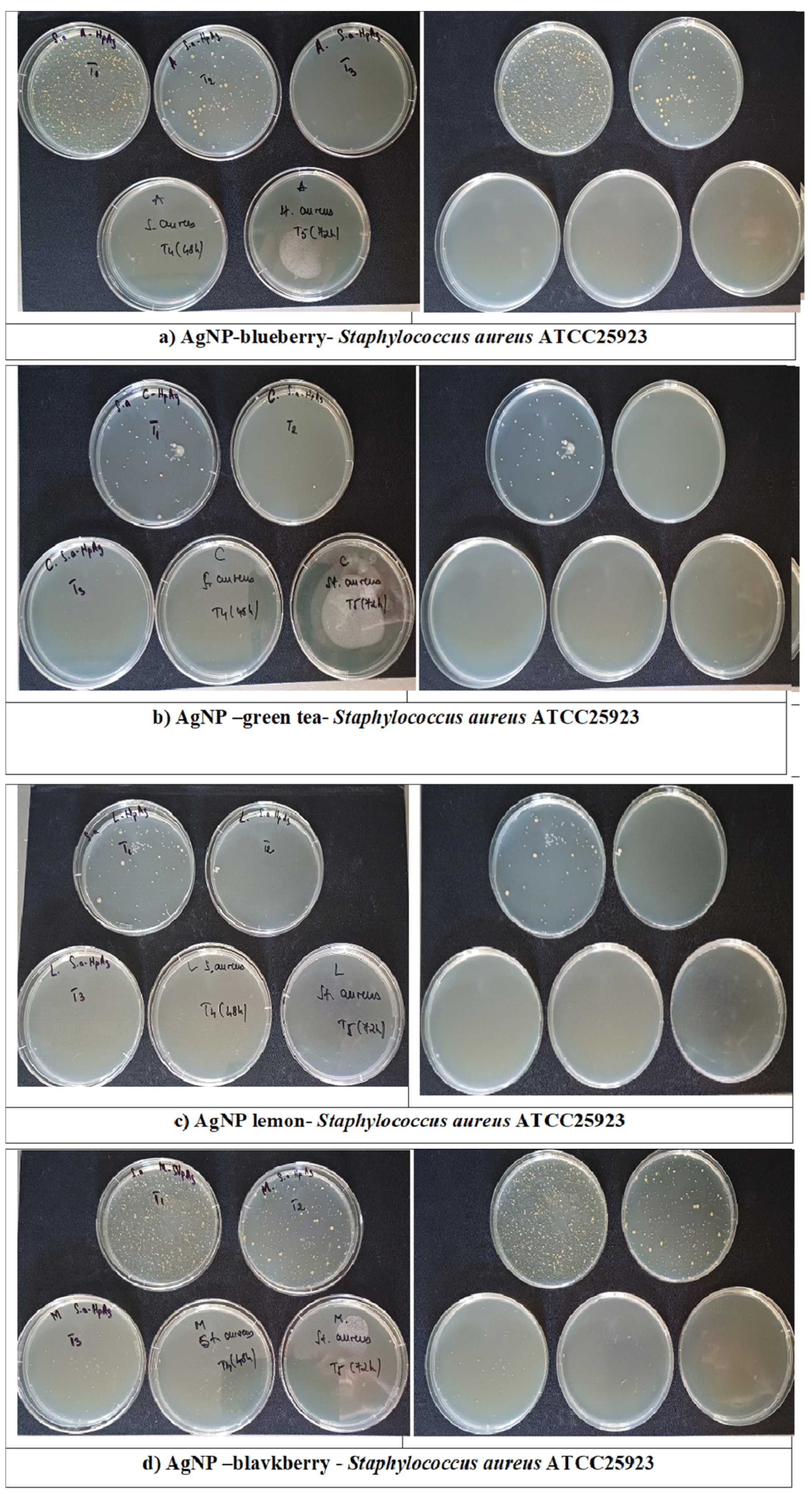 Sustainability 17 05321 g016a Sustainability 17 05321 g016a