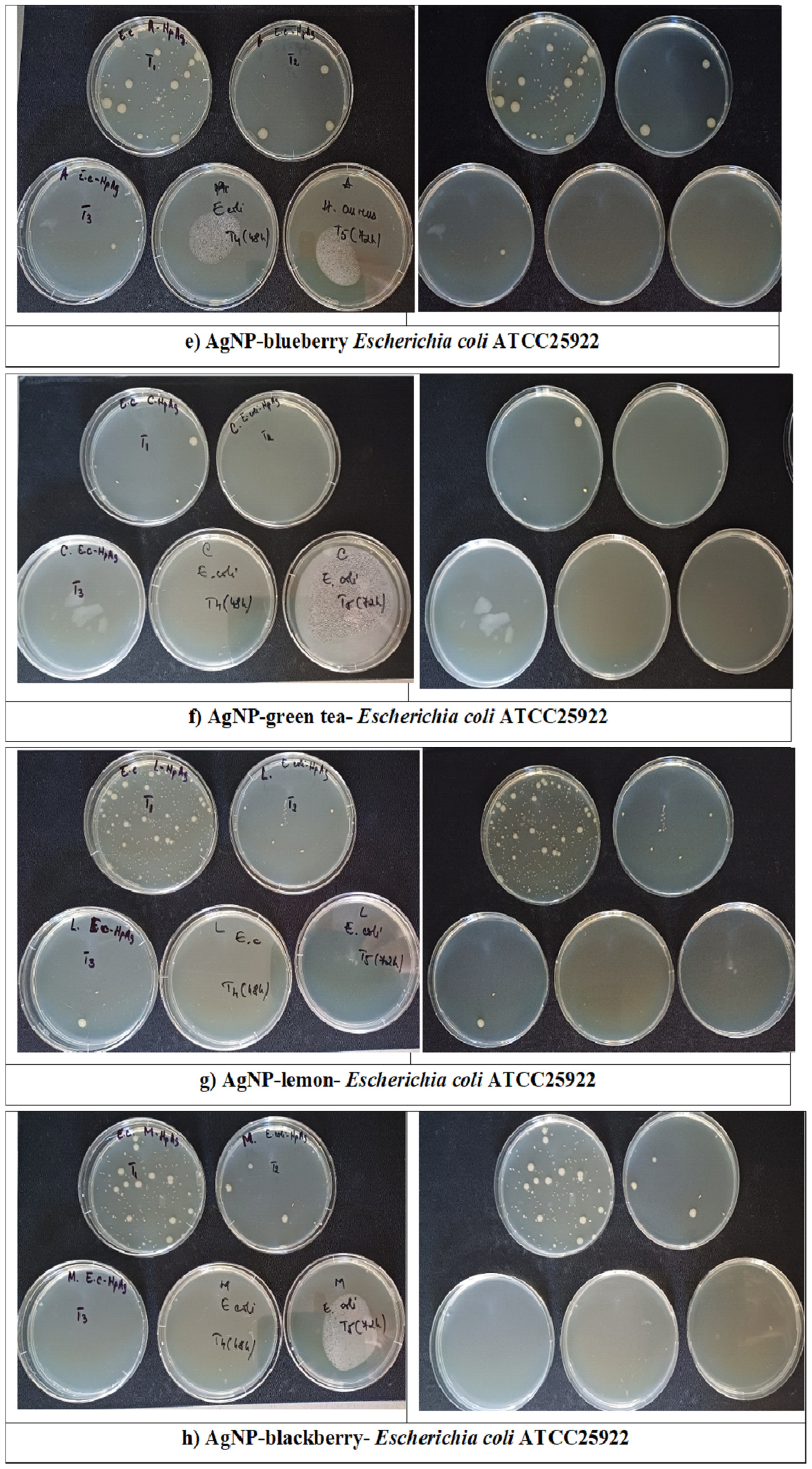 Sustainability 17 05321 g016b Sustainability 17 05321 g016b