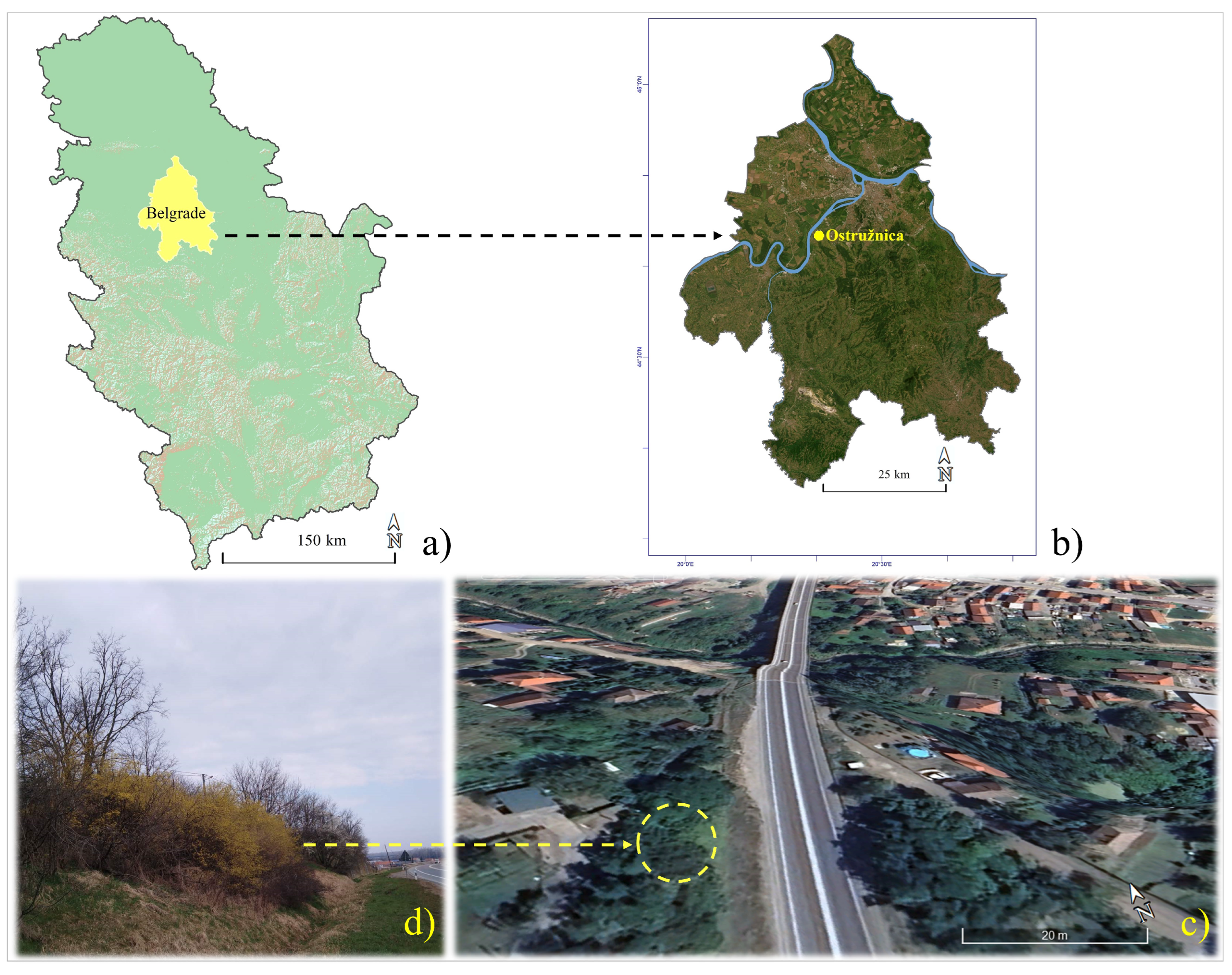 Sustainability 17 05334 g001 Sustainability 17 05334 g001