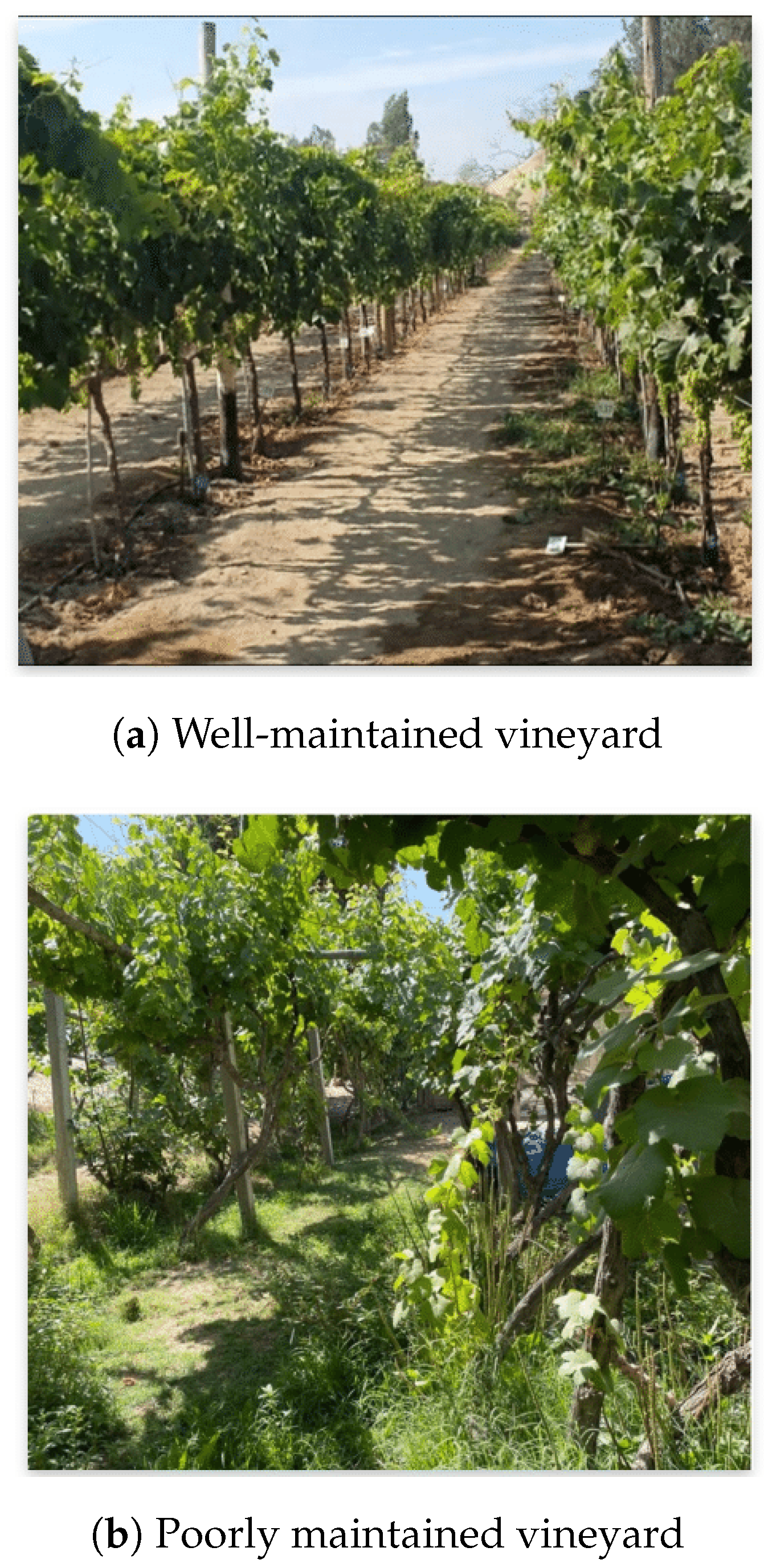 Sustainability 17 05338 g001