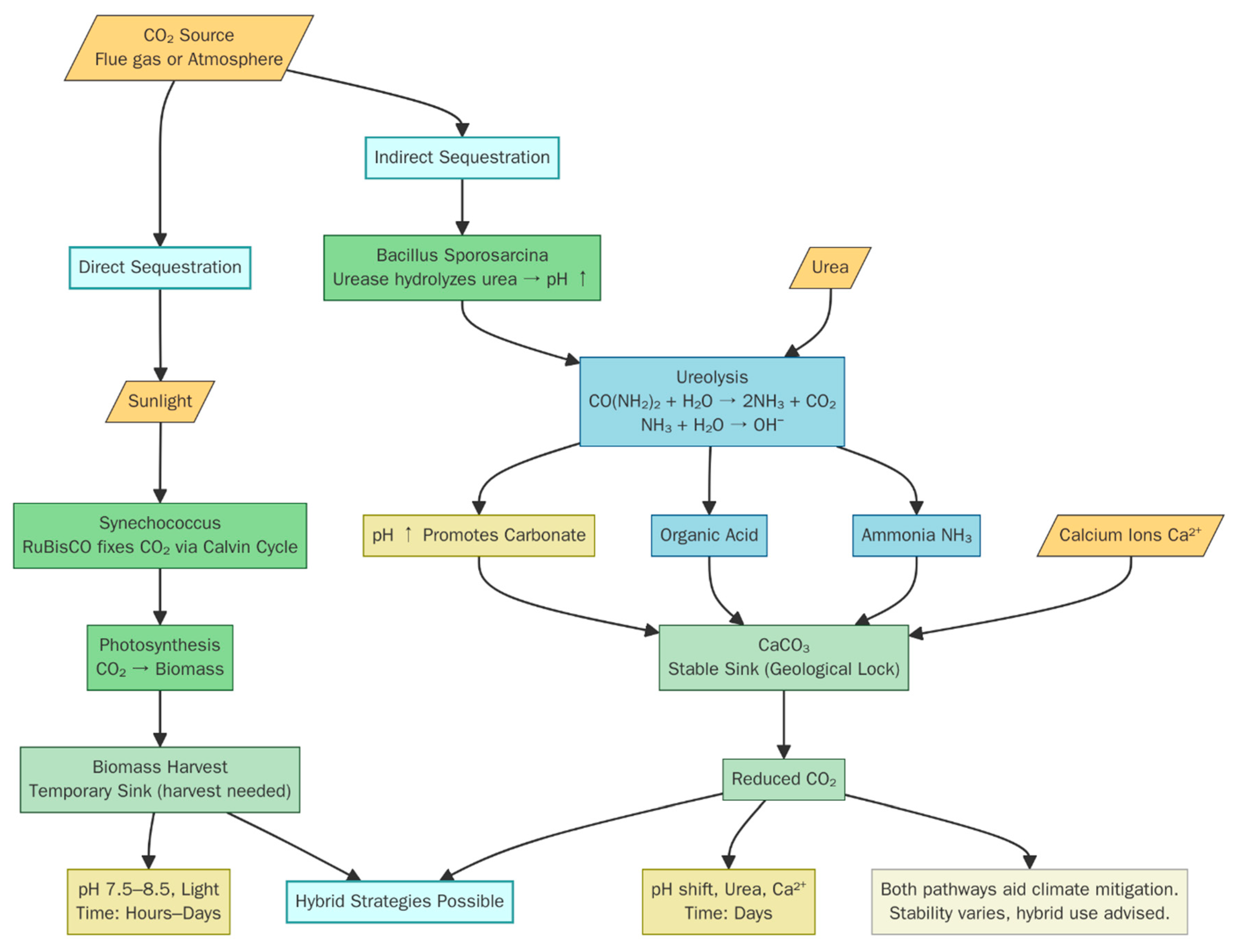 Sustainability 17 05353 g001