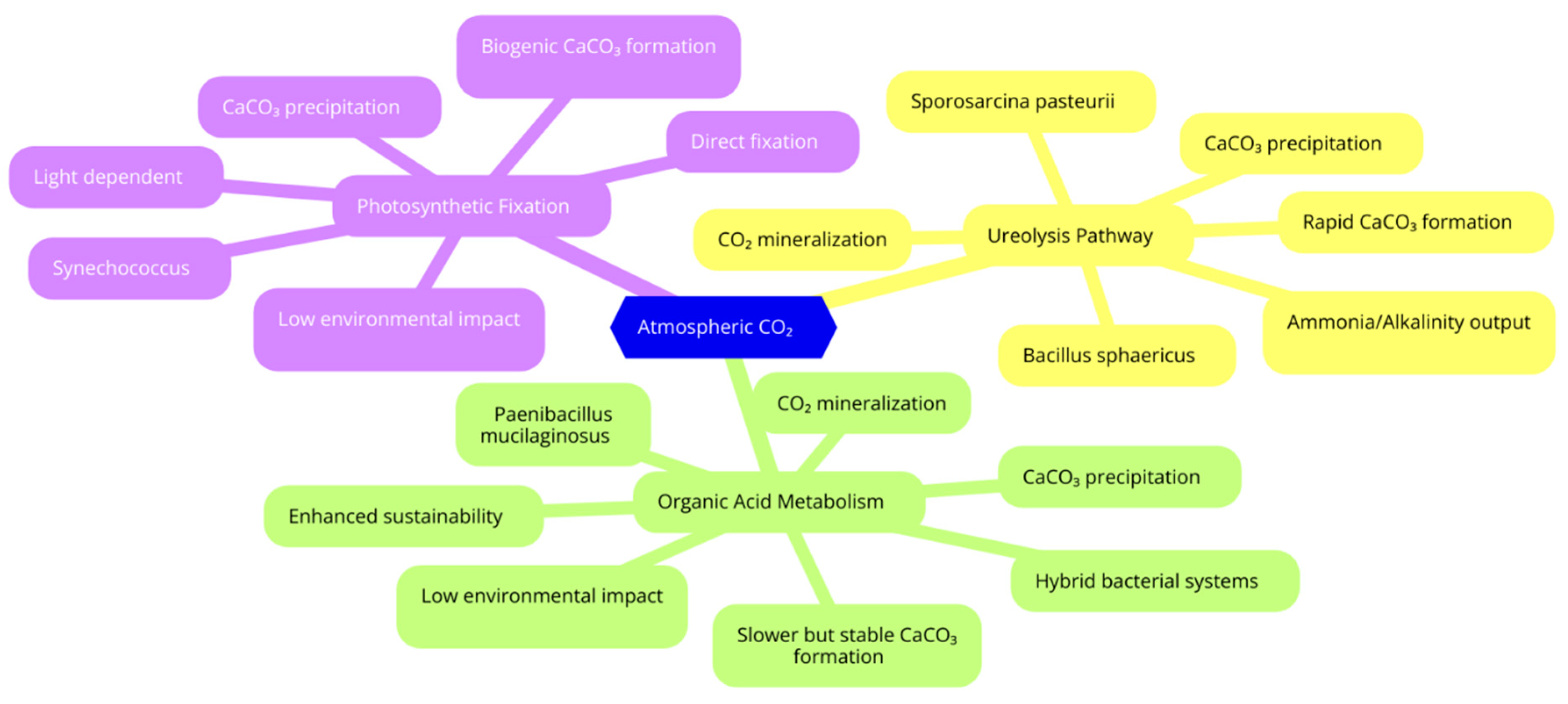 Sustainability 17 05353 g004