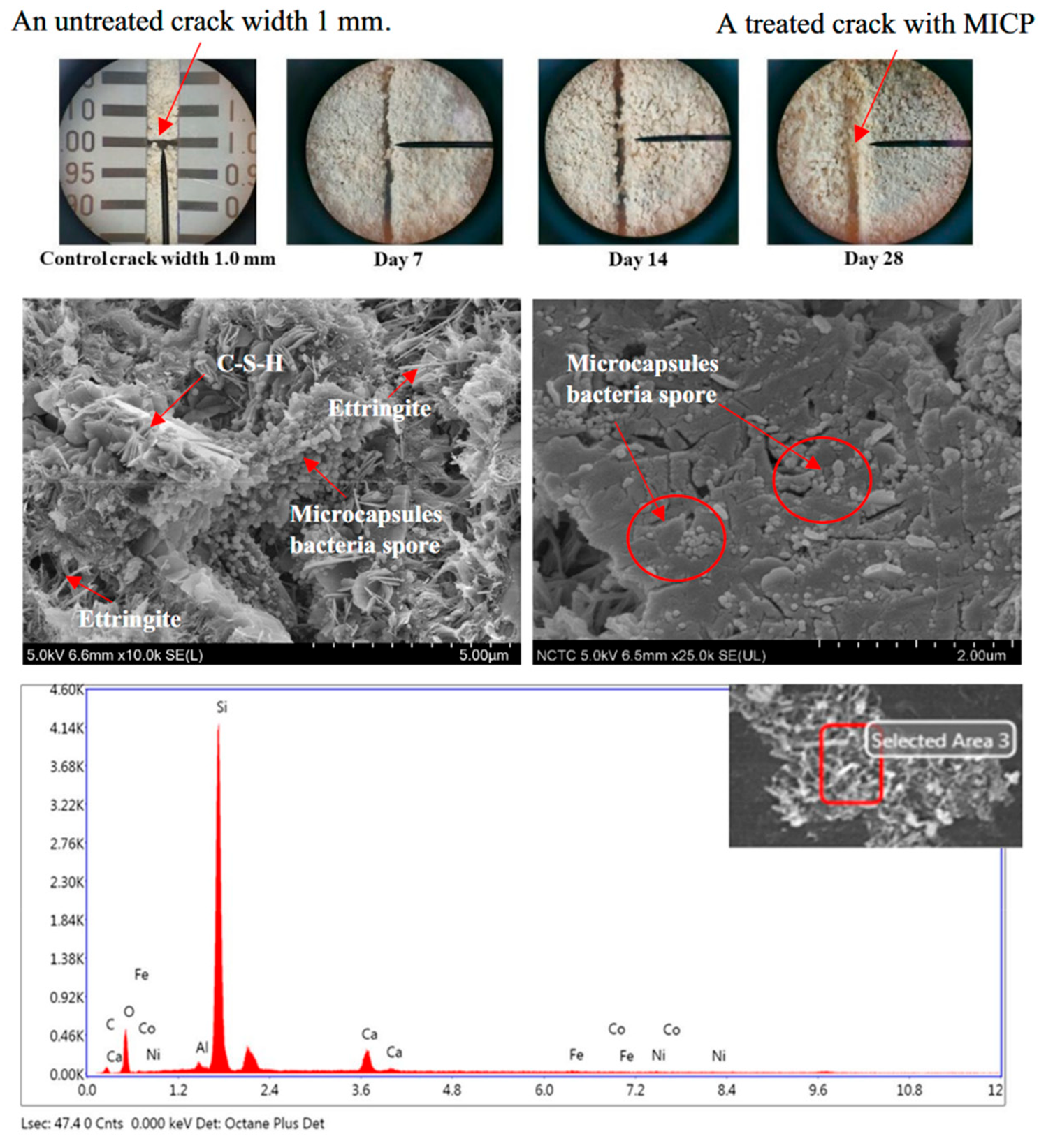 Sustainability 17 05353 i001
