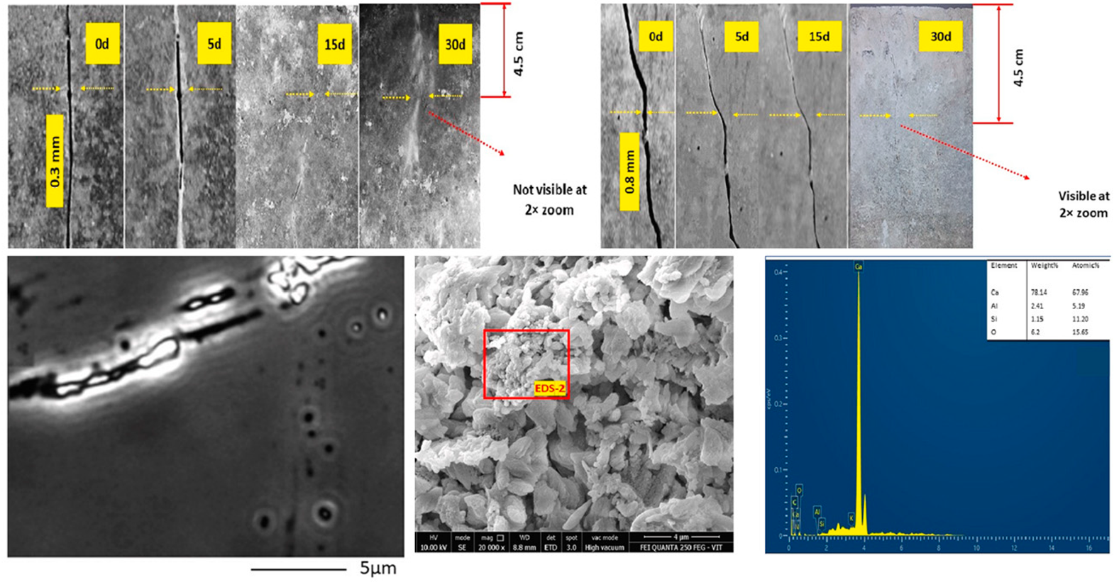 Sustainability 17 05353 i003