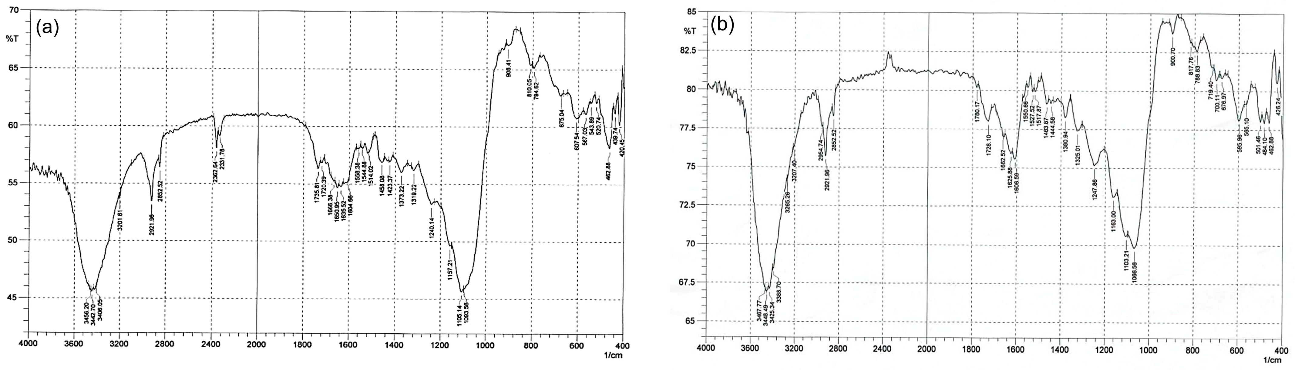 Sustainability 17 05366 g006