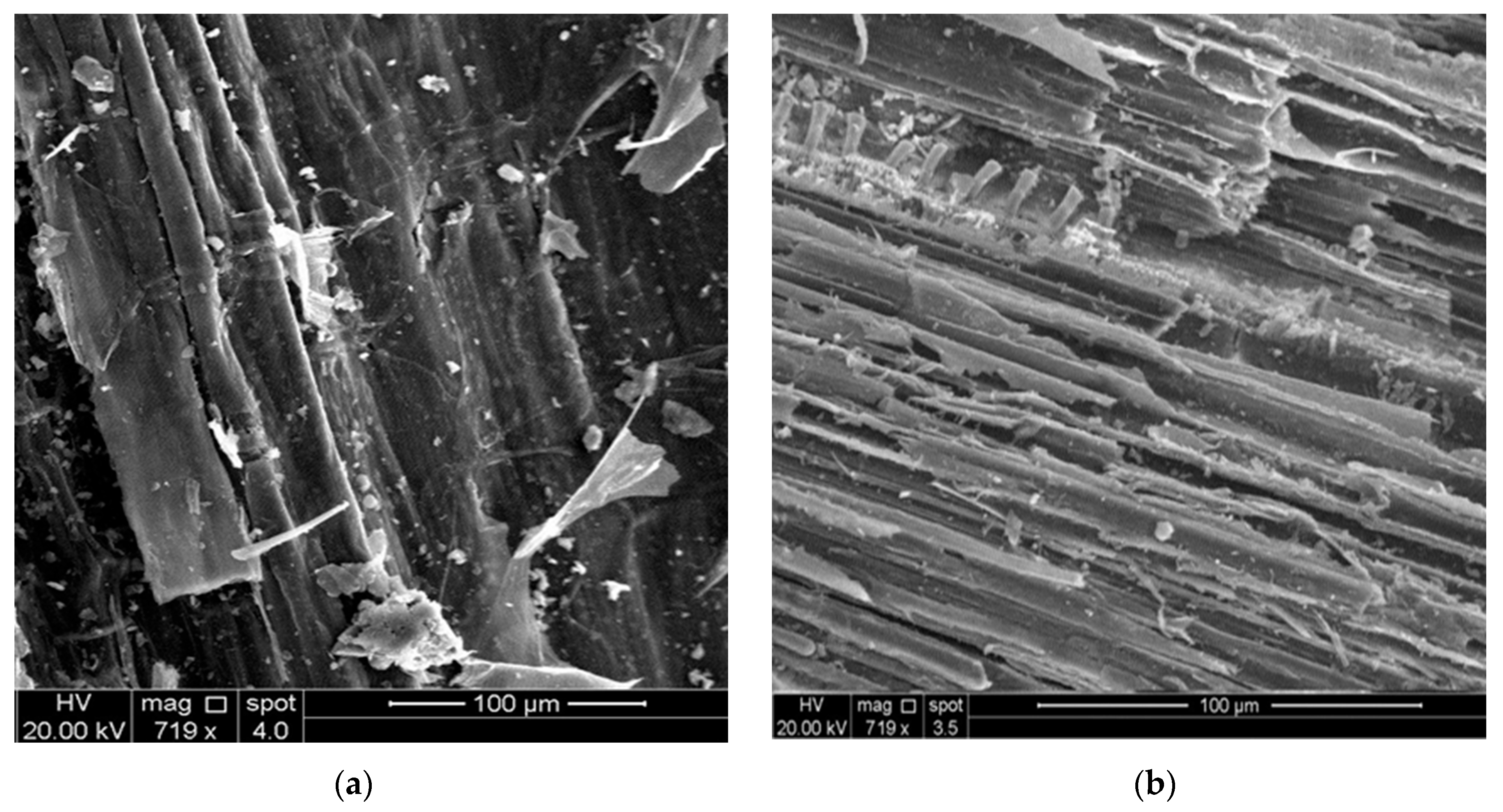Sustainability 17 05366 g007