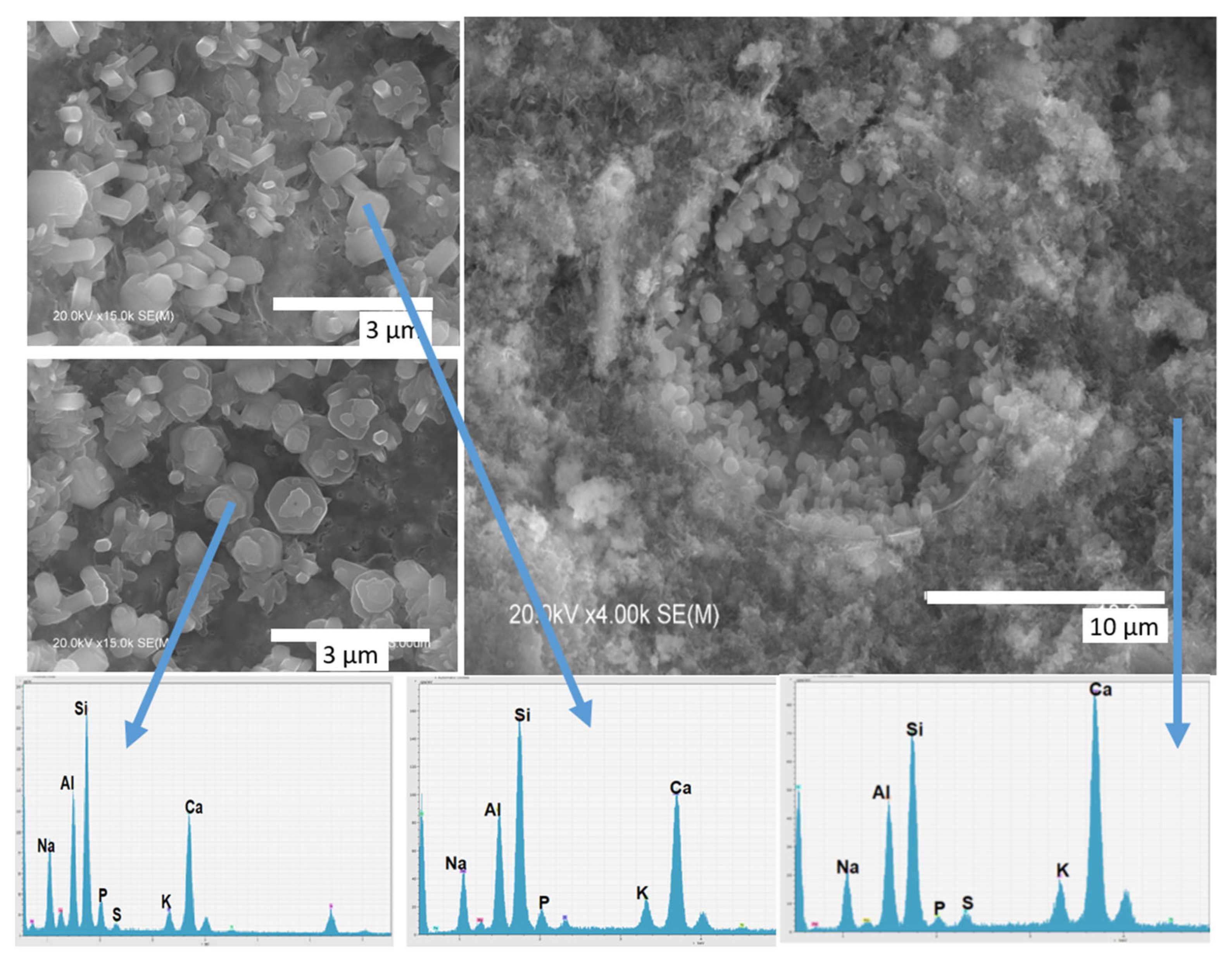 Sustainability 17 05413 g011