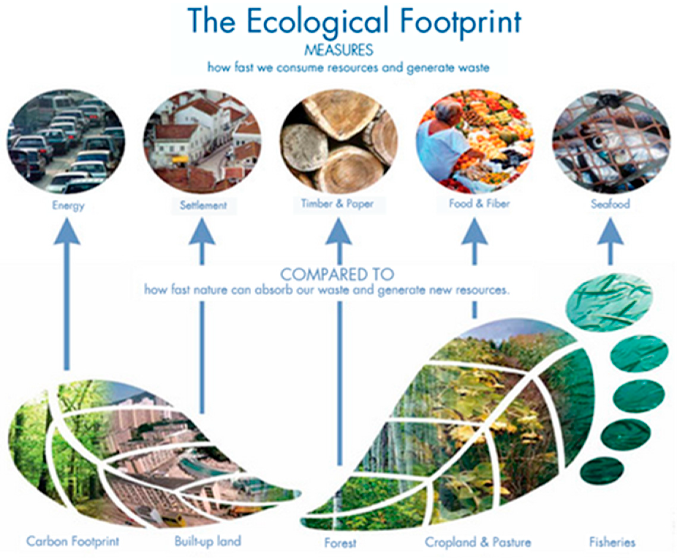 Sustainability 17 05429 g001