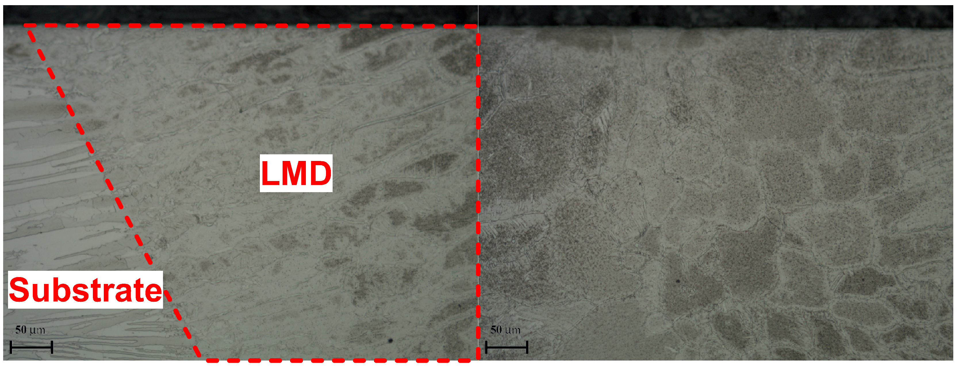 Sustainability 17 05438 g019