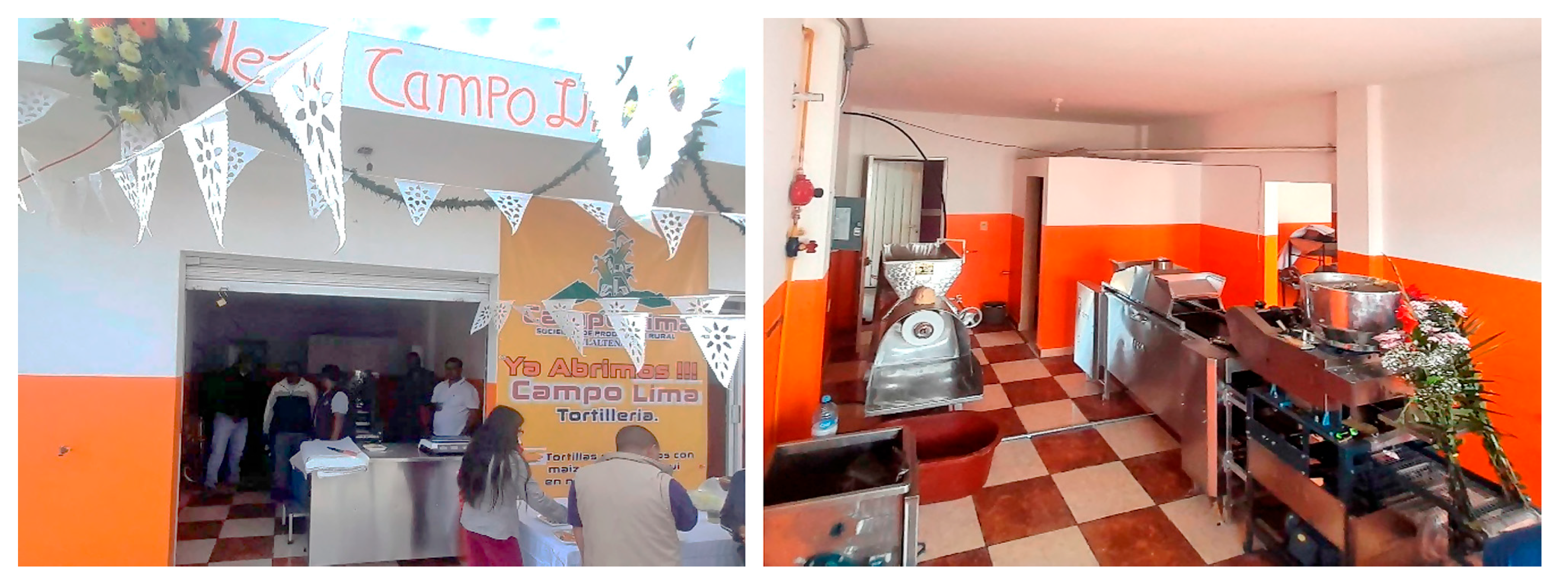 Sustainability 17 05442 g007