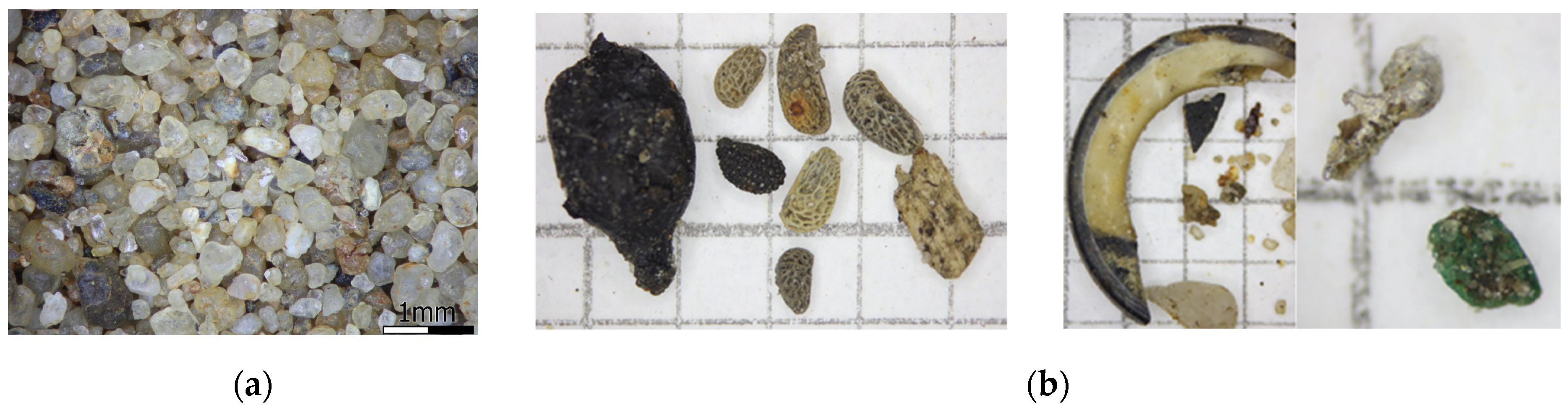 Sustainability 17 05471 g003