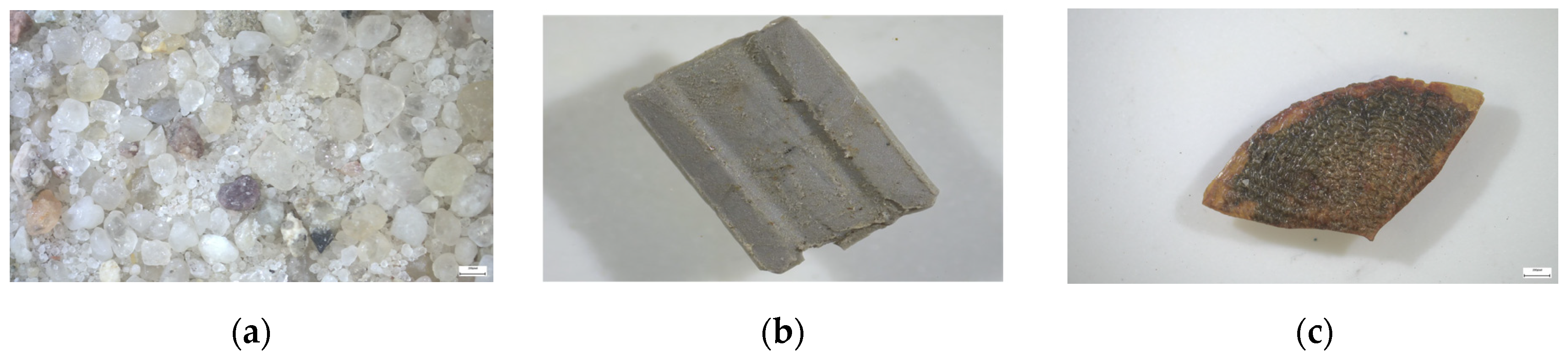 Sustainability 17 05471 g004