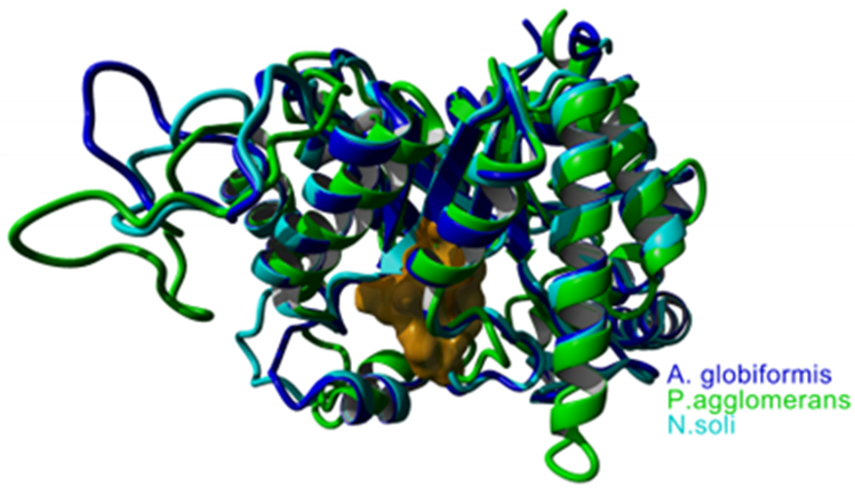 Sustainability 17 05535 g003