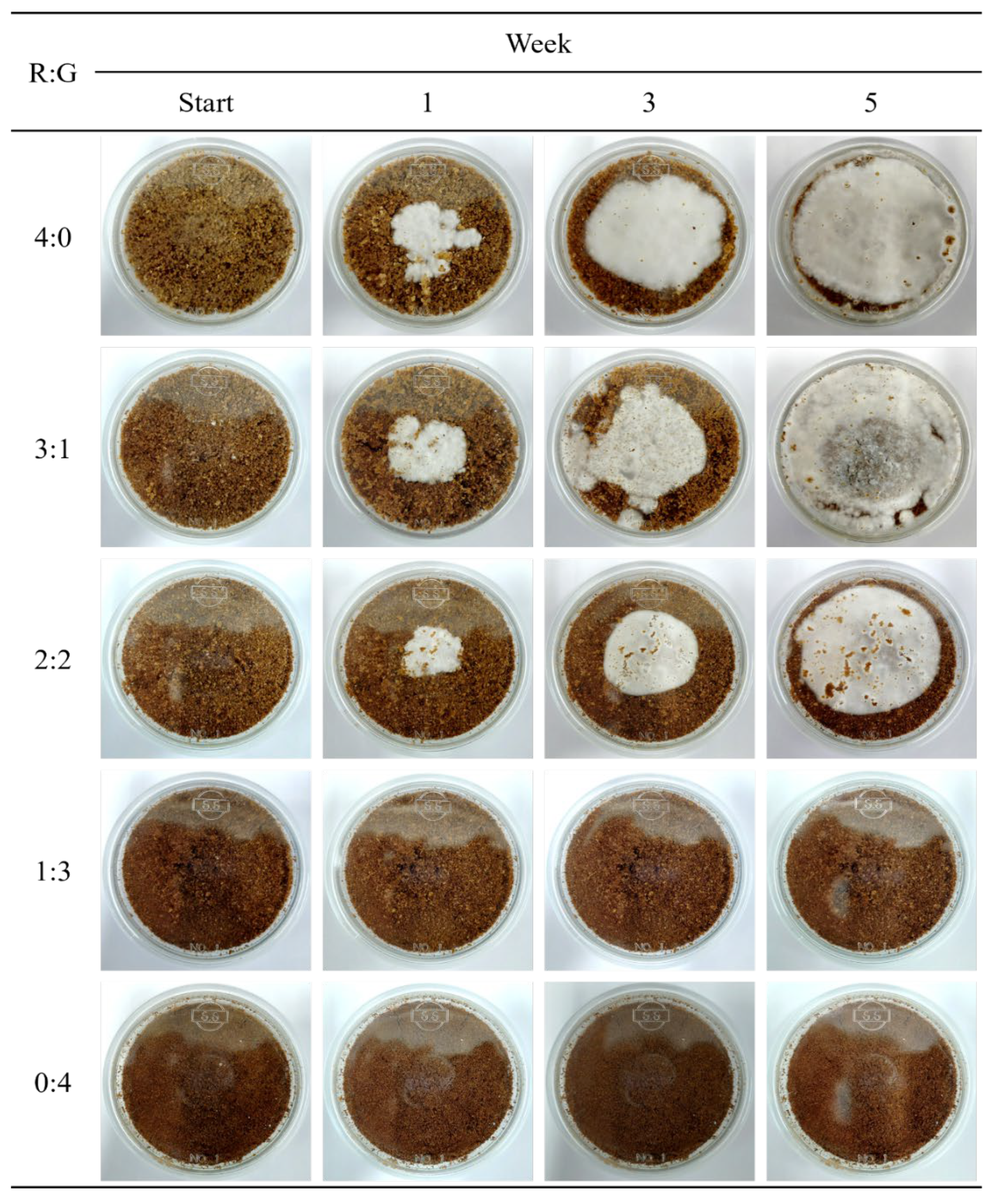 Sustainability 17 05562 g001