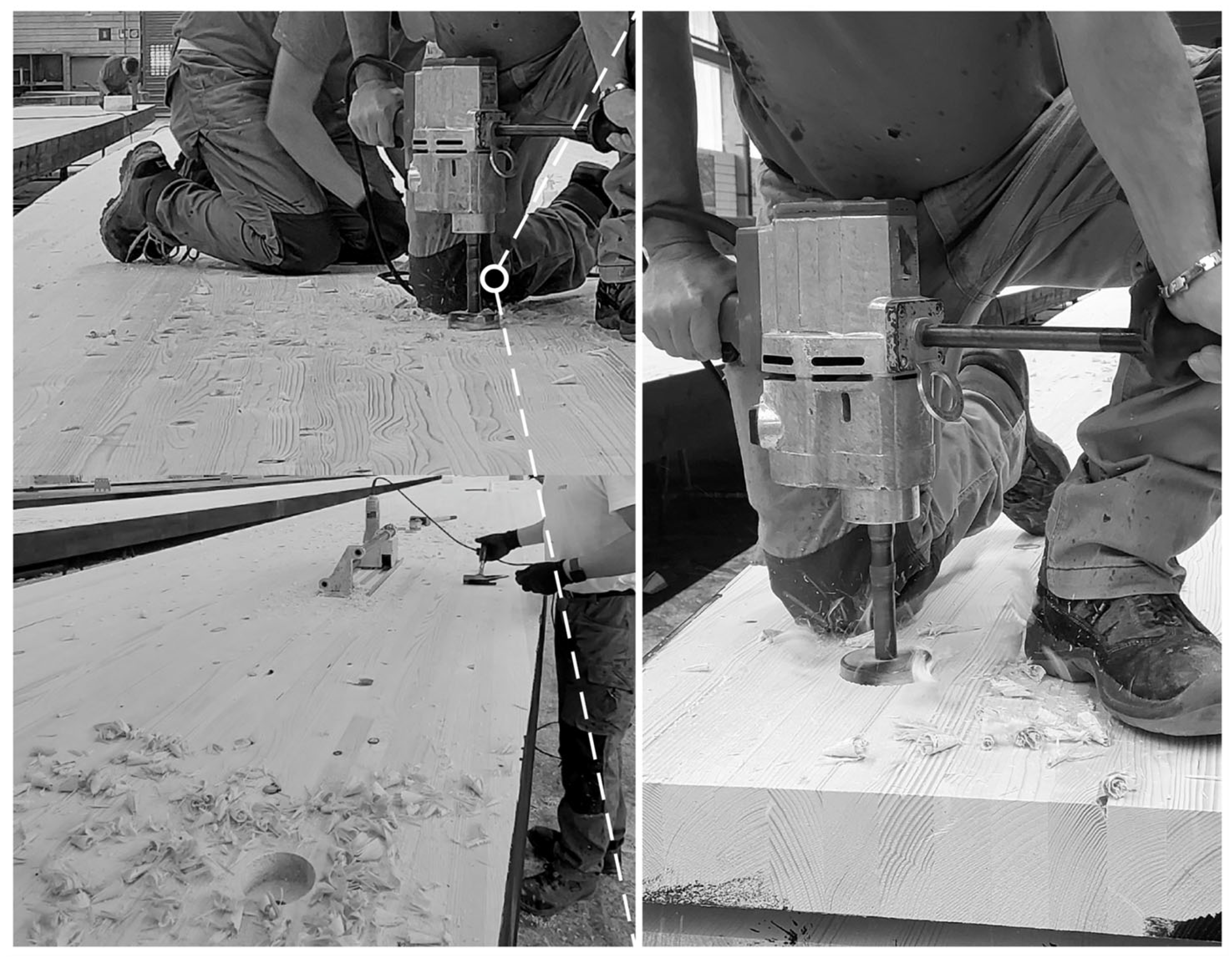 Sustainability 17 05574 g001