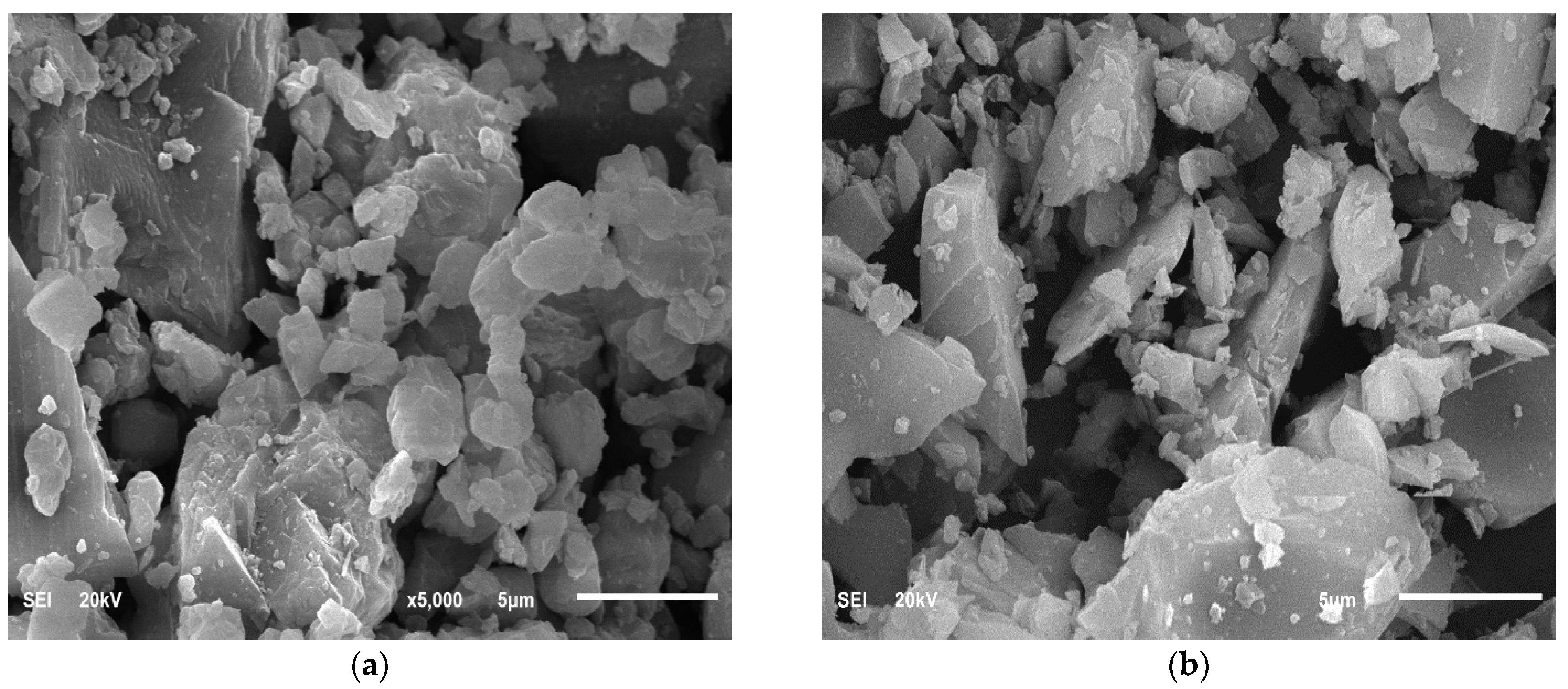 Sustainability 17 05611 g002